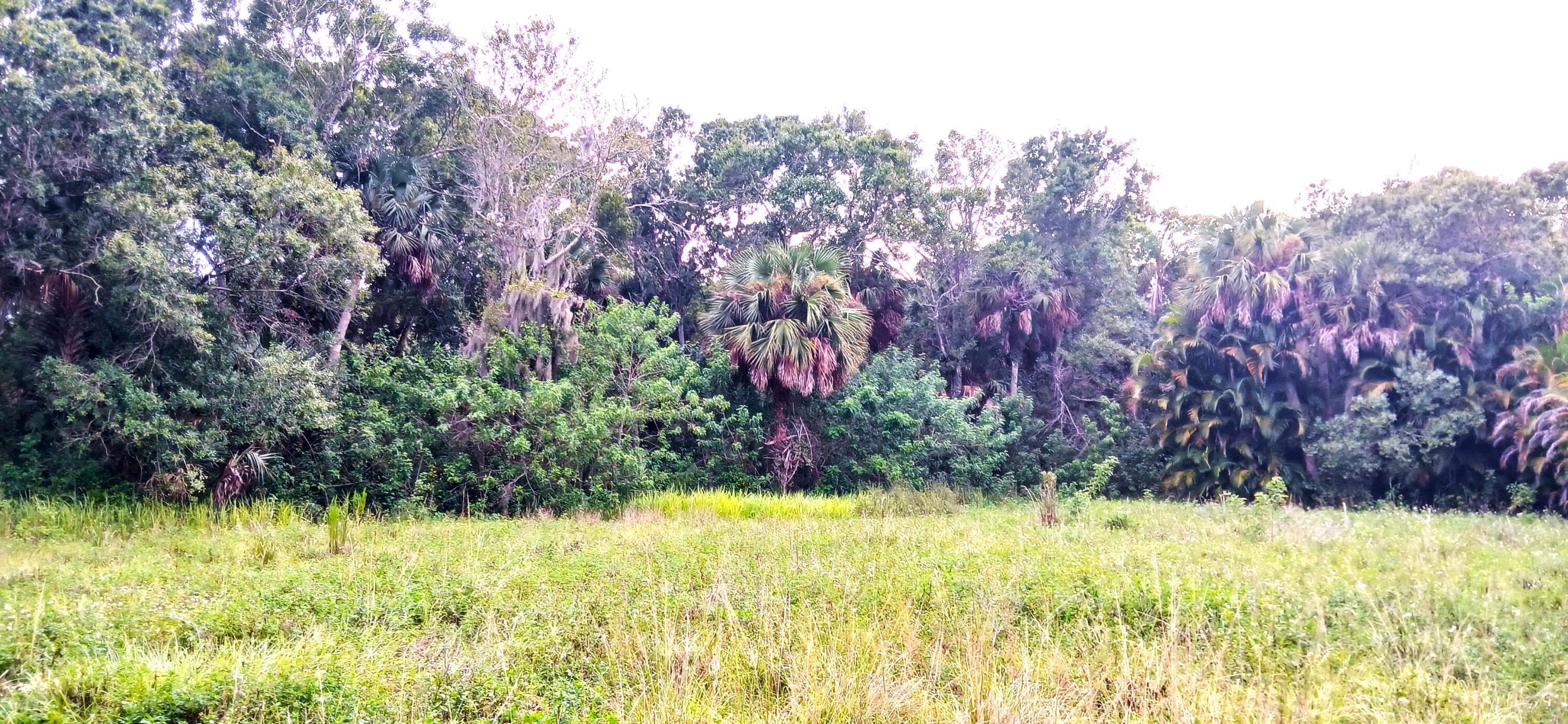 0000 S Us-1, Fort Pierce, FL 34982 — photo 1 of 7