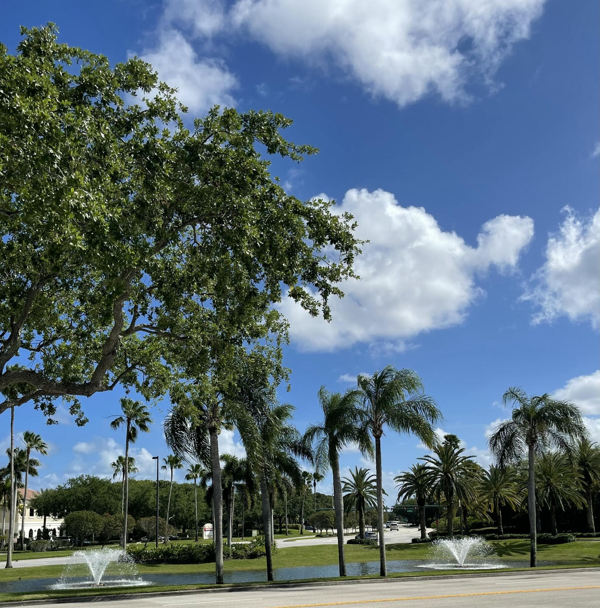 8895 N Bates Road, Palm Beach Gardens, FL 33418 — photo 56 of 91