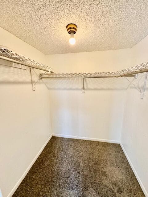 3300 Spanish Moss Terrace 302, Lauderhill, FL 33319 — photo 13 of 17