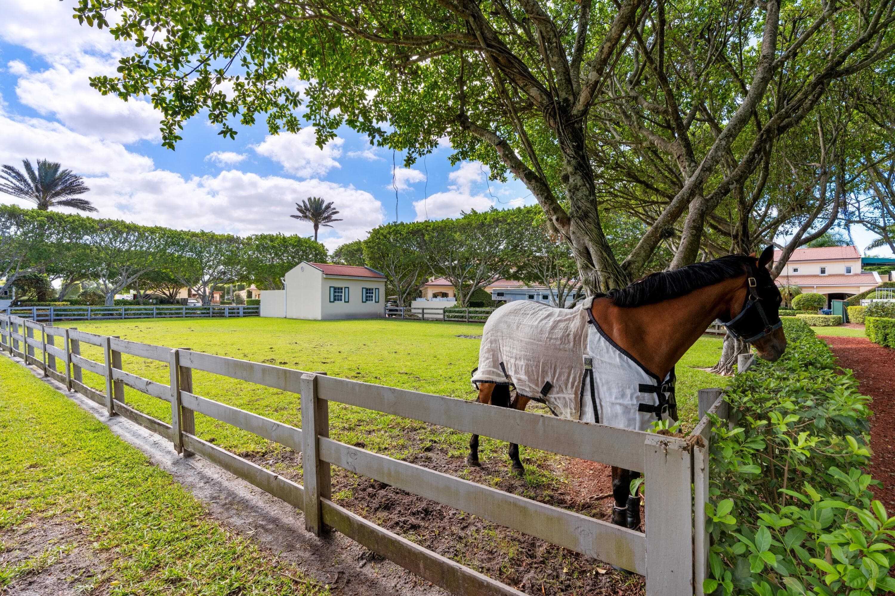 3151 Hickstead Place, Wellington, FL 33414 — photo 38 of 76