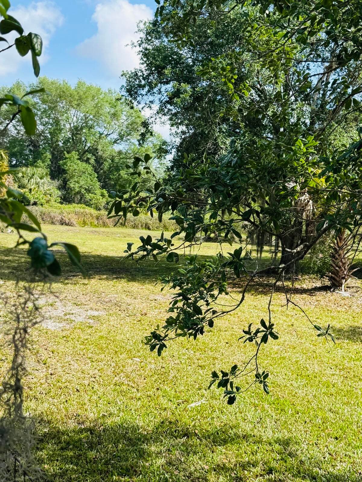 19636 NW 272nd Street, Okeechobee, FL 34972 — photo 4 of 17