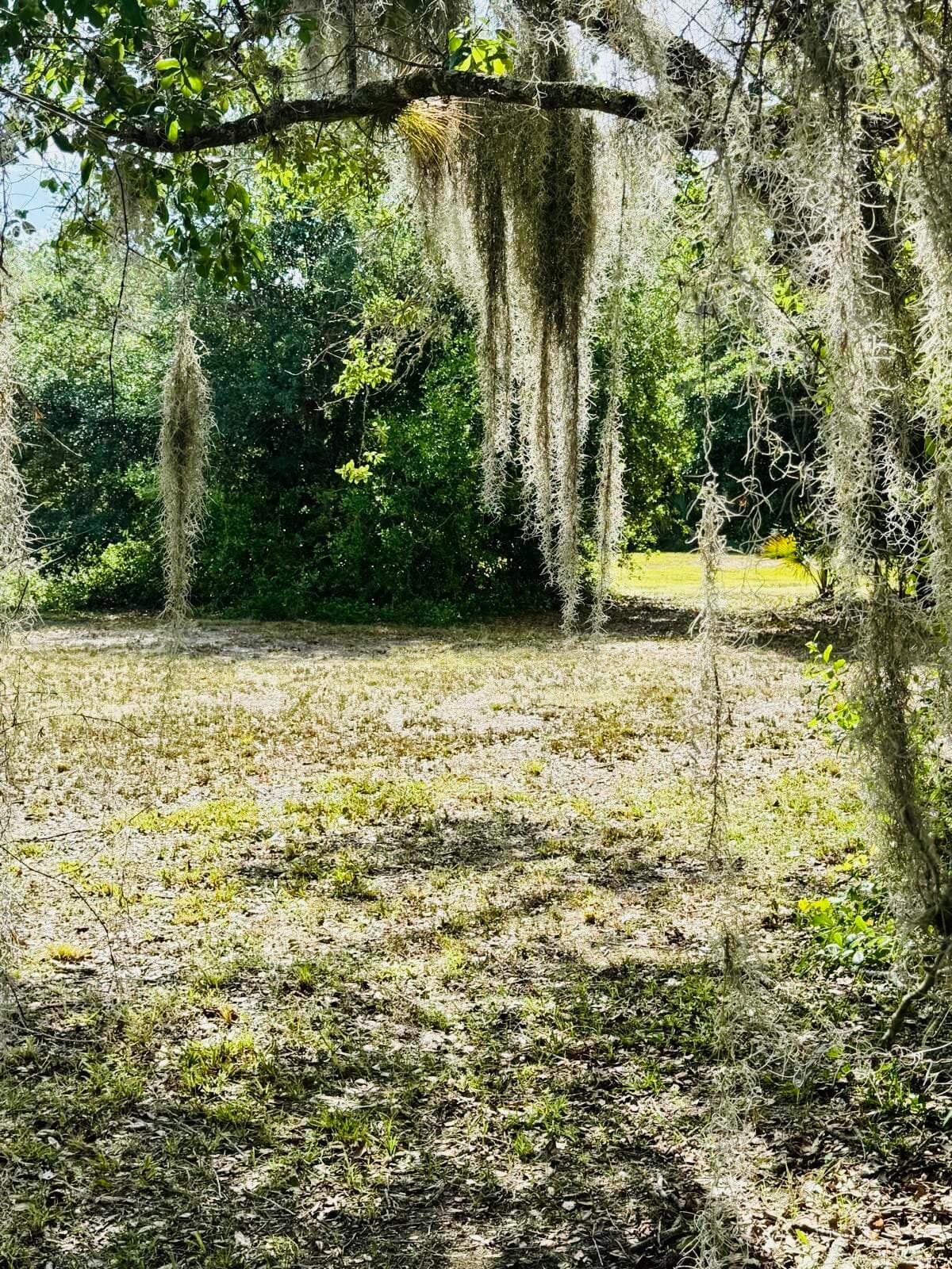 19636 NW 272nd Street, Okeechobee, FL 34972 — photo 6 of 17