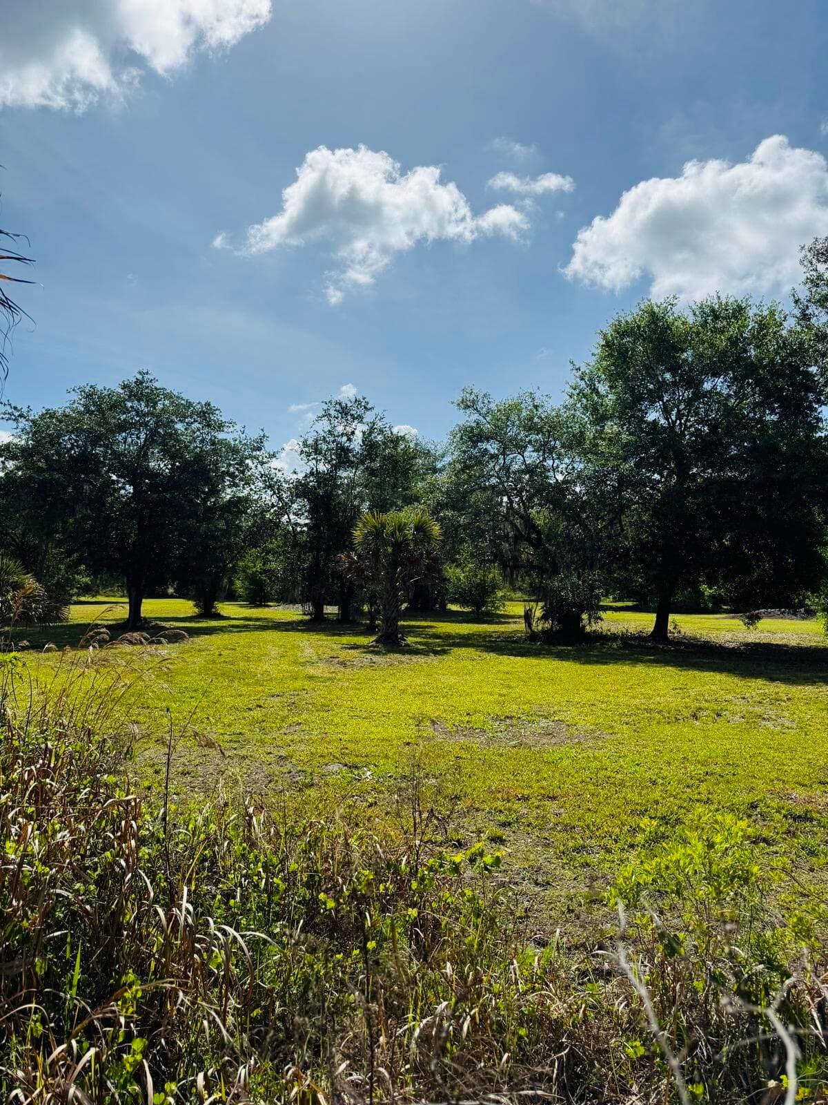 19636 NW 272nd Street, Okeechobee, FL 34972 — photo 7 of 17