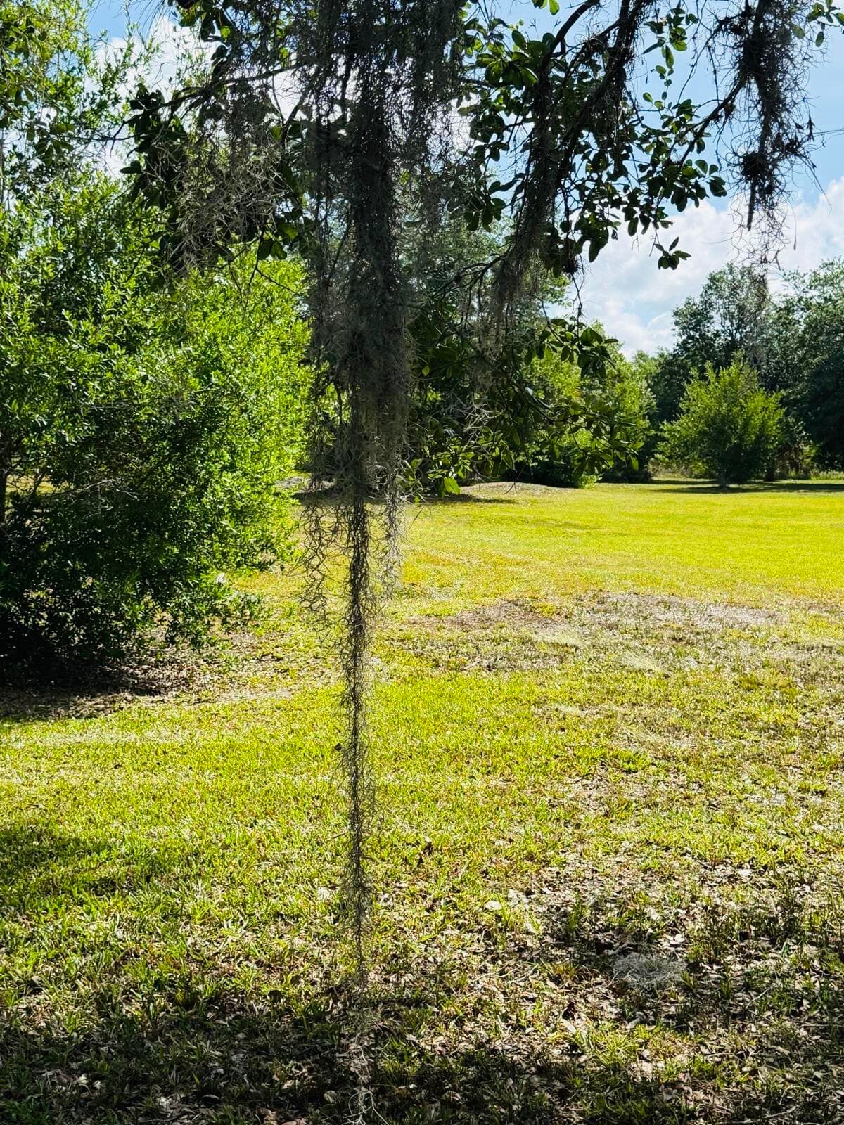 19636 NW 272nd Street, Okeechobee, FL 34972 — photo 3 of 17