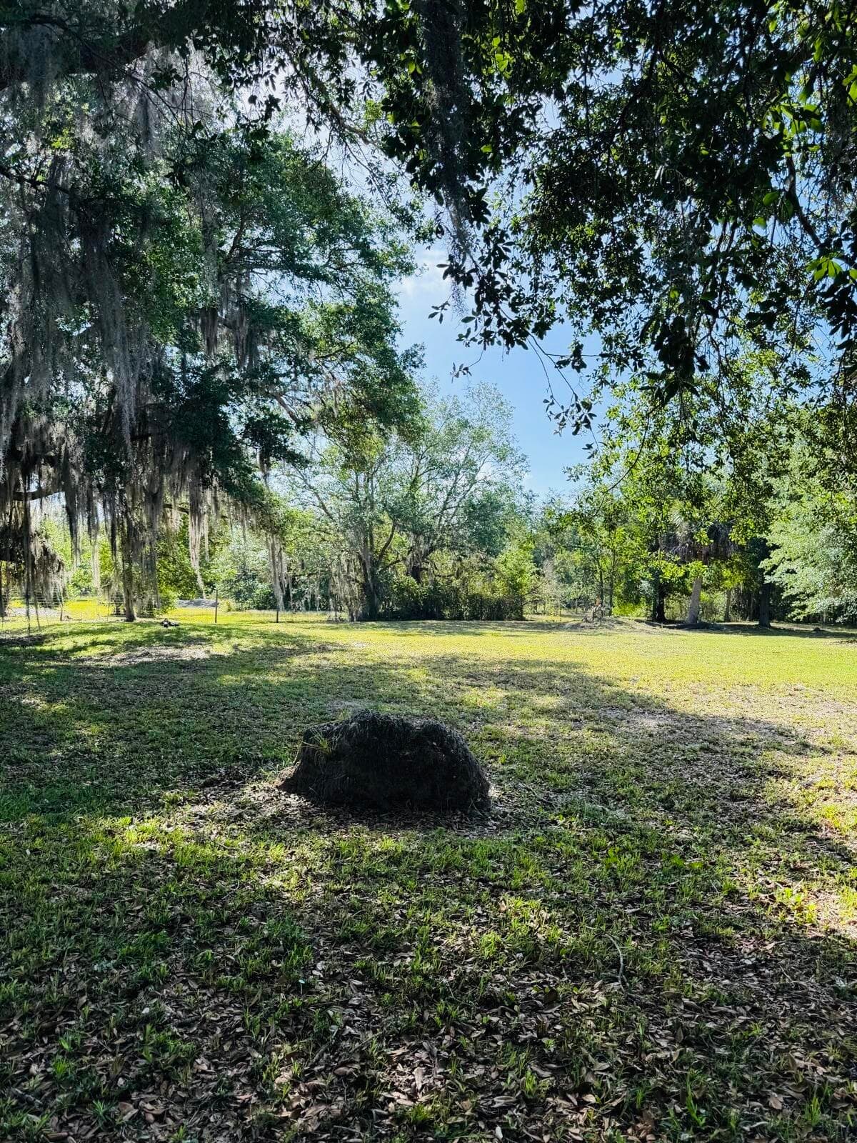 19636 NW 272nd Street, Okeechobee, FL 34972 — photo 17 of 17