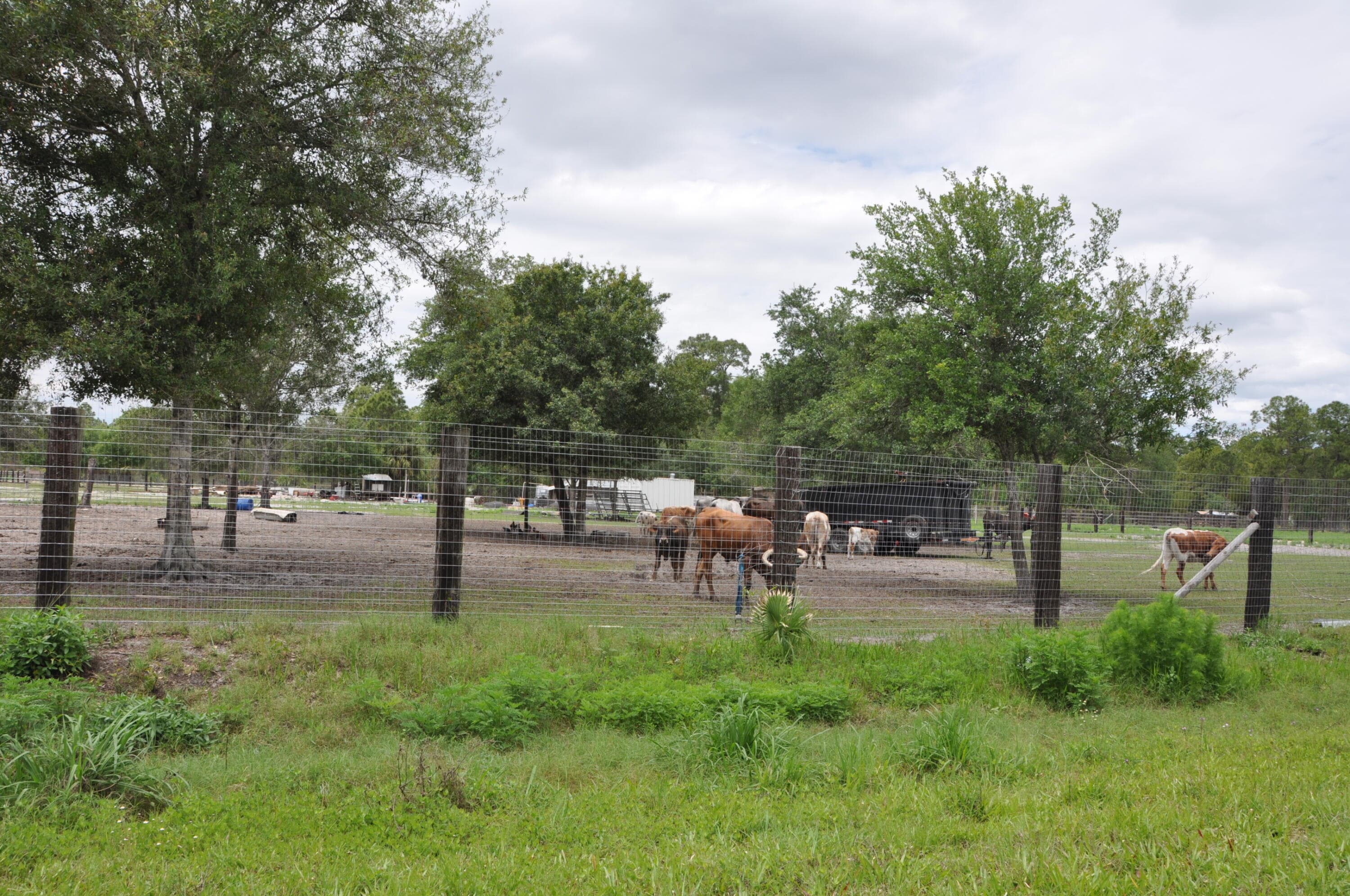 636 Montura Avenue, Clewiston, FL 33440 — photo 7 of 9