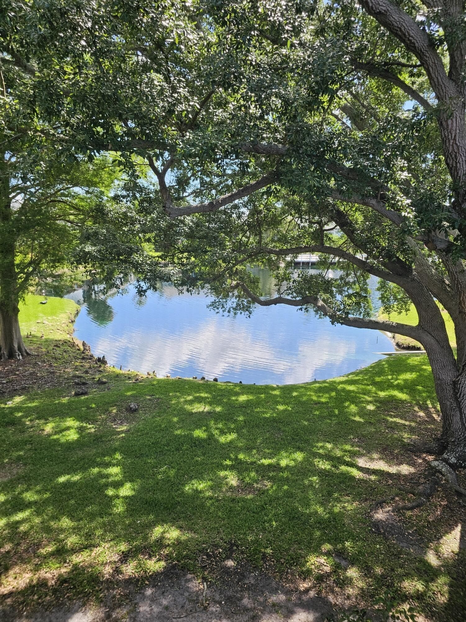 200 Countryclub Drive 108, Largo, FL 33771 — photo 20 of 30