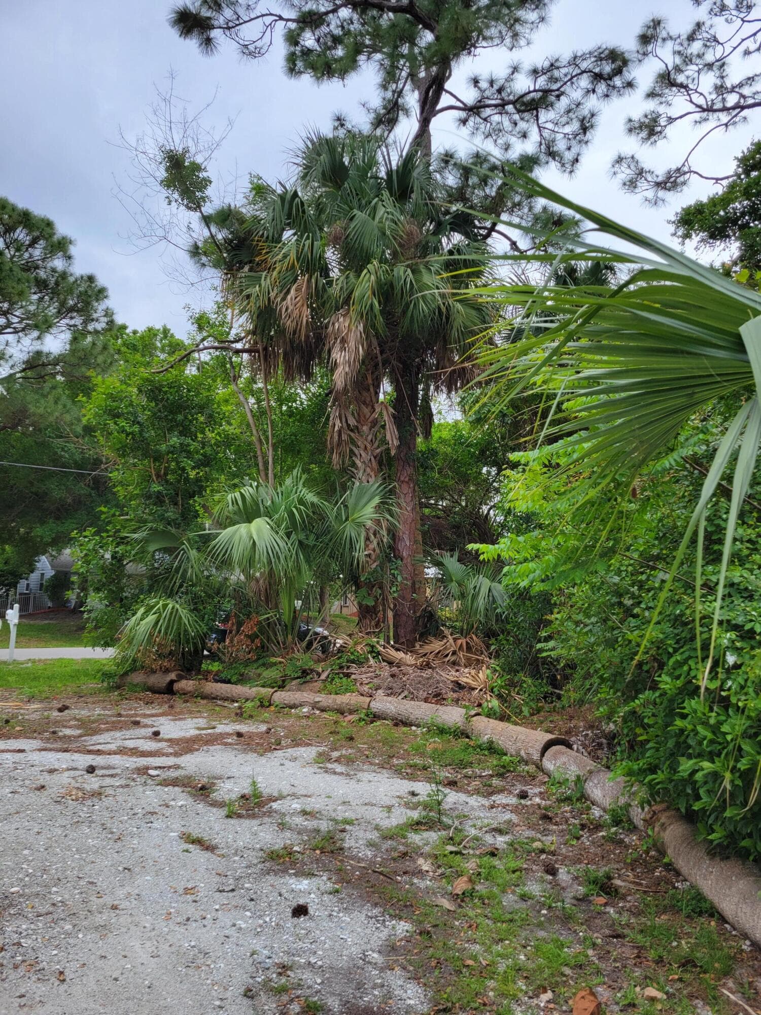 1109 SW Abingdon Avenue S, Port St. Lucie, FL 34953 — photo 4 of 18