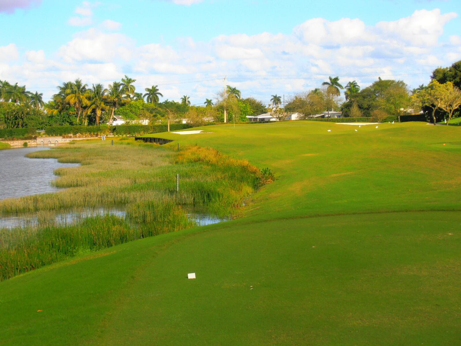 1811 Sabal Palm Drive 203, Davie, FL 33324 — photo 76 of 80