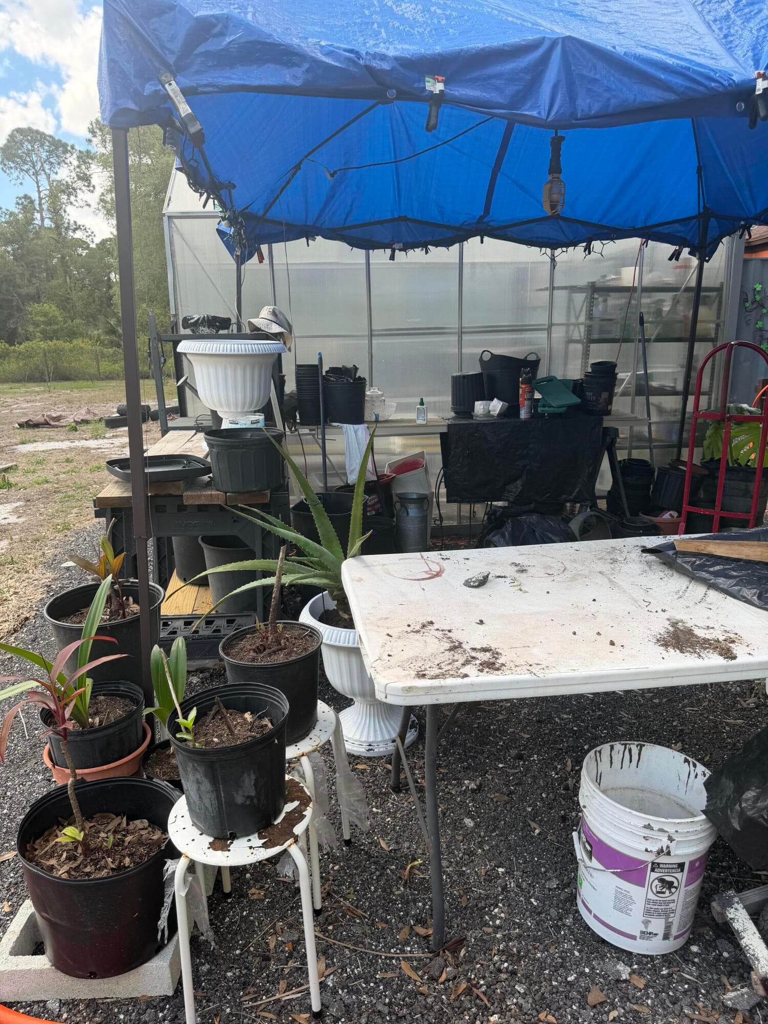 235 N Sendero Street, Clewiston, FL 33440 — photo 44 of 60