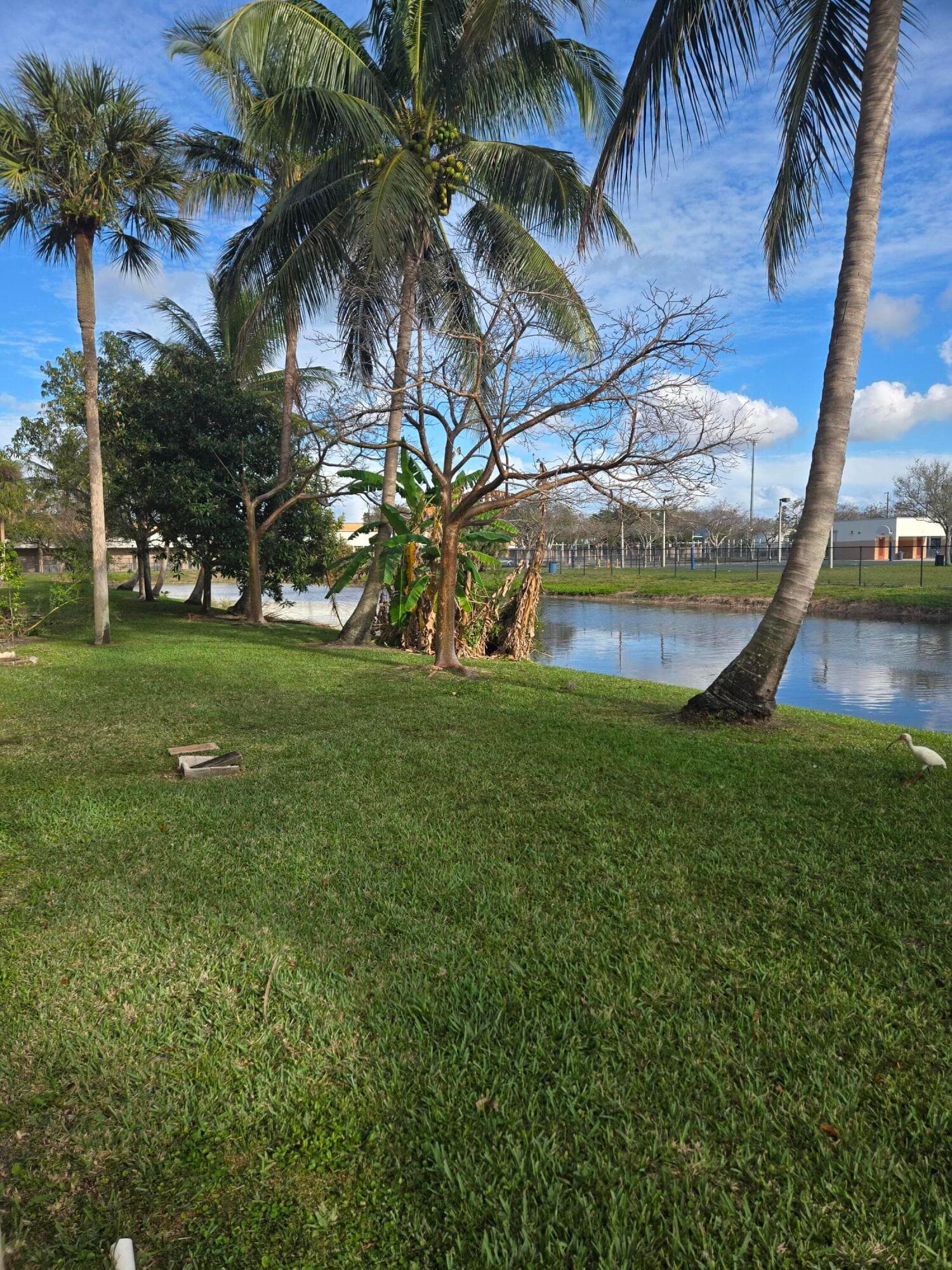 3940 NW 42nd Avenue 221, Lauderdale Lakes, FL 33319 — photo 26 of 29