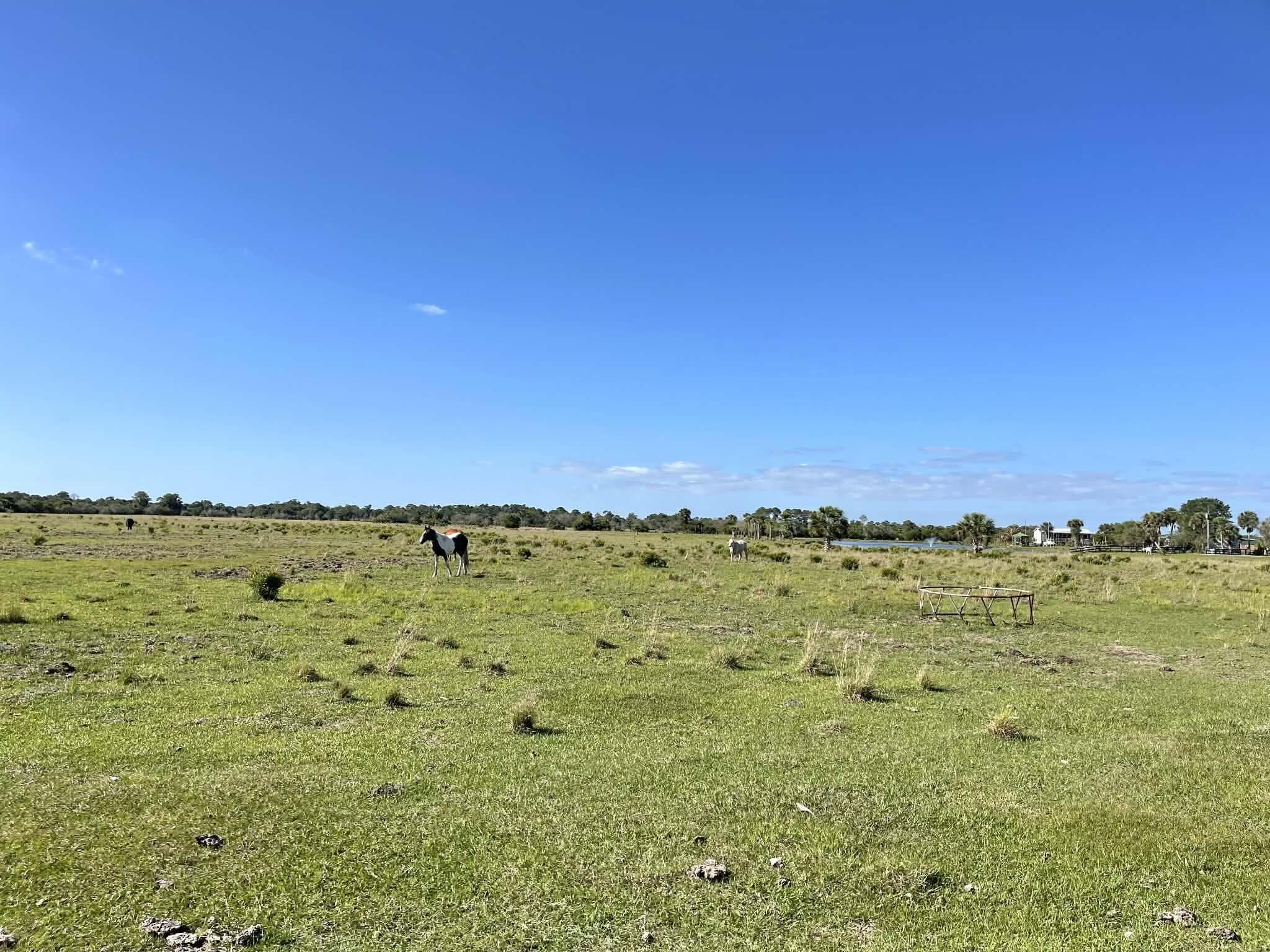 8121 NW 58th Lane, Okeechobee, FL 34972 — photo 81 of 86