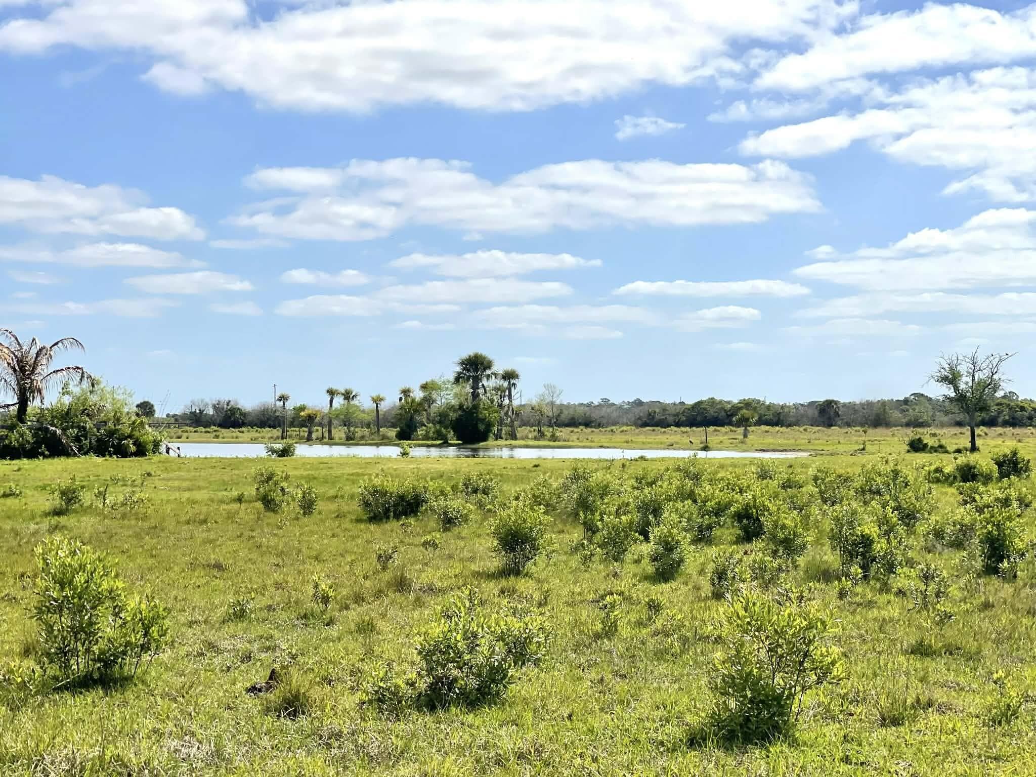 8121 NW 58th Lane, Okeechobee, FL 34972 — photo 70 of 86