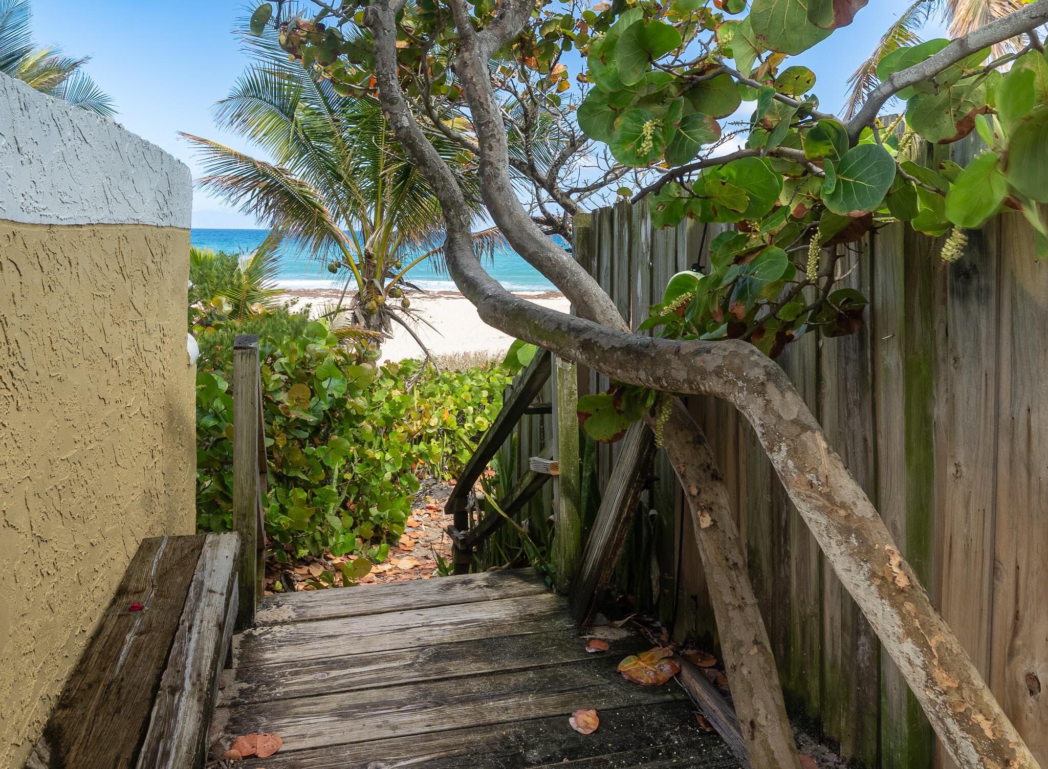 205 Coral Road 1, Boynton Beach, FL 33435 — photo 3 of 9