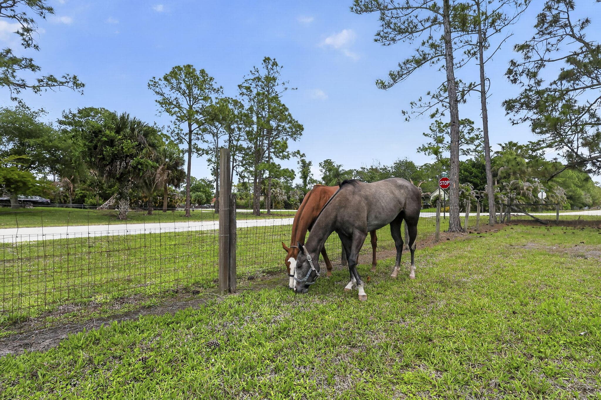 6045 Hall Boulevard, The Acreage, FL 33470 — photo 75 of 109