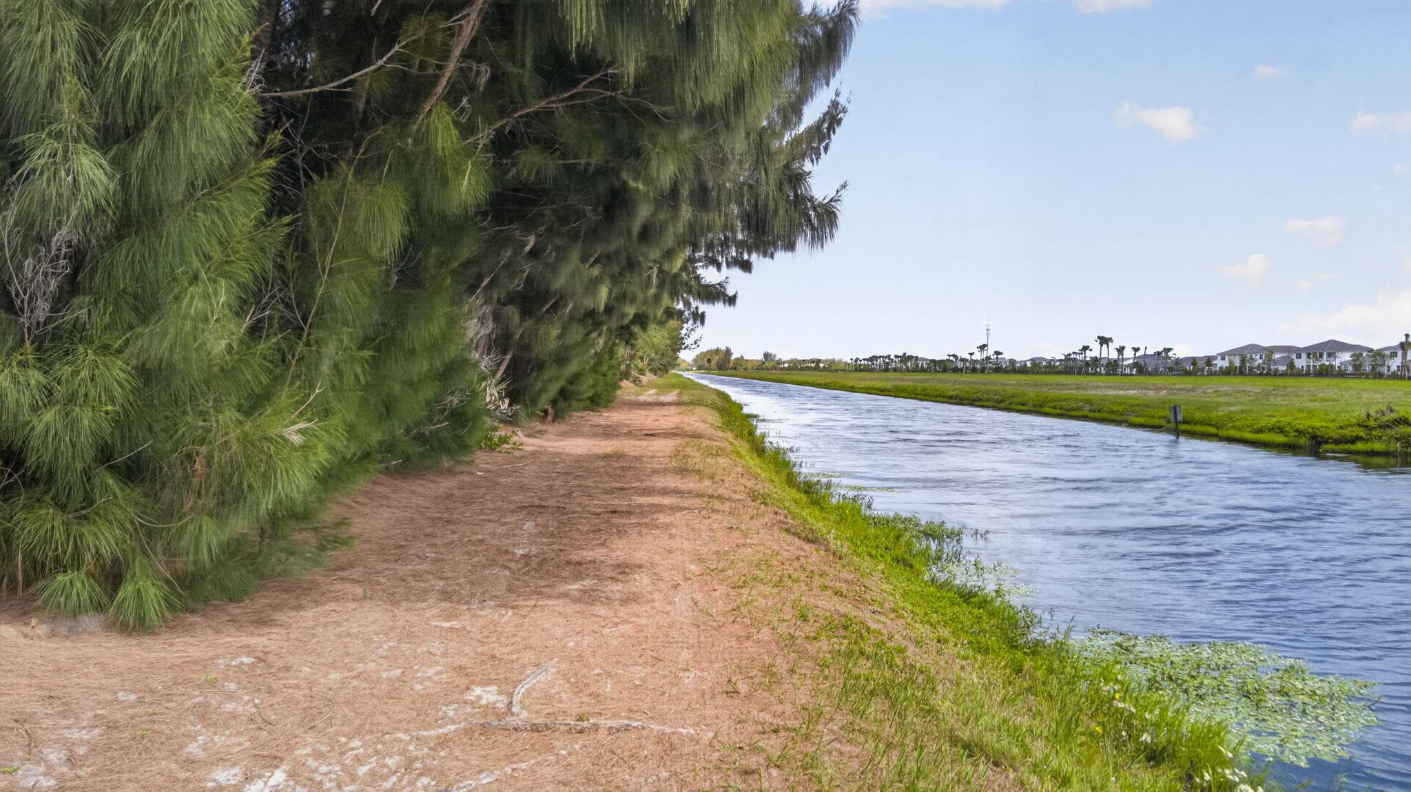 6045 Hall Boulevard, The Acreage, FL 33470 — photo 103 of 109