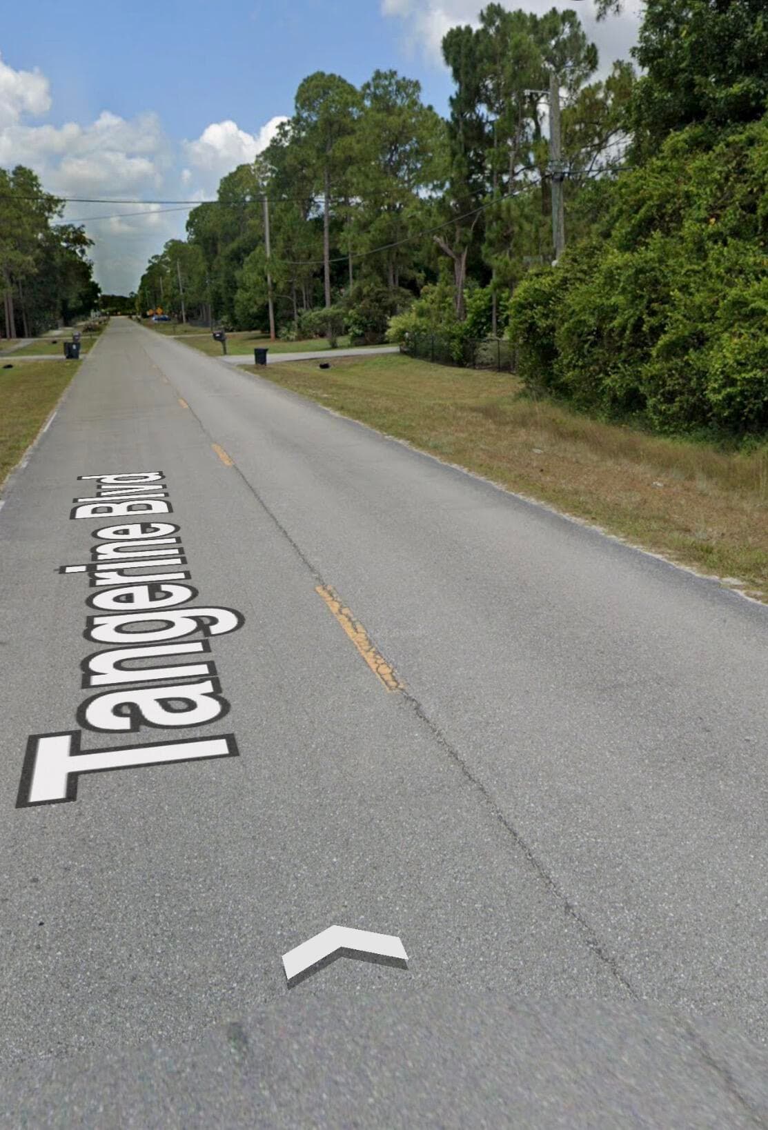 Xxxxx Tangerine Boulevard, The Acreage, FL 33470 — photo 2 of 3