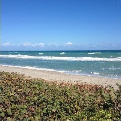 326 Caravelle Drive, Jupiter, FL 33458 — photo 47 of 48
