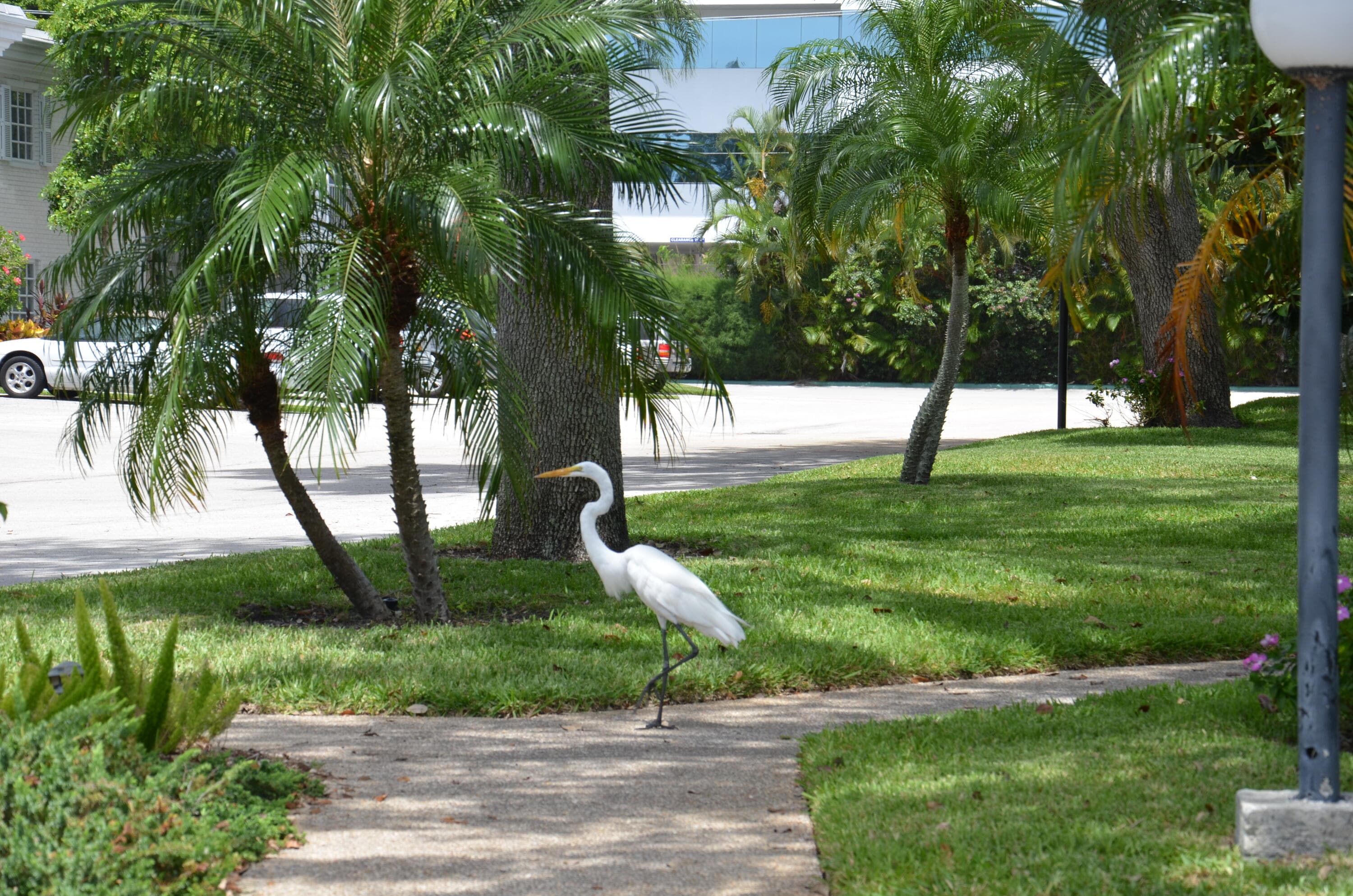 6367 Bay Club Drive 3, Fort Lauderdale, FL 33308 — photo 33 of 33