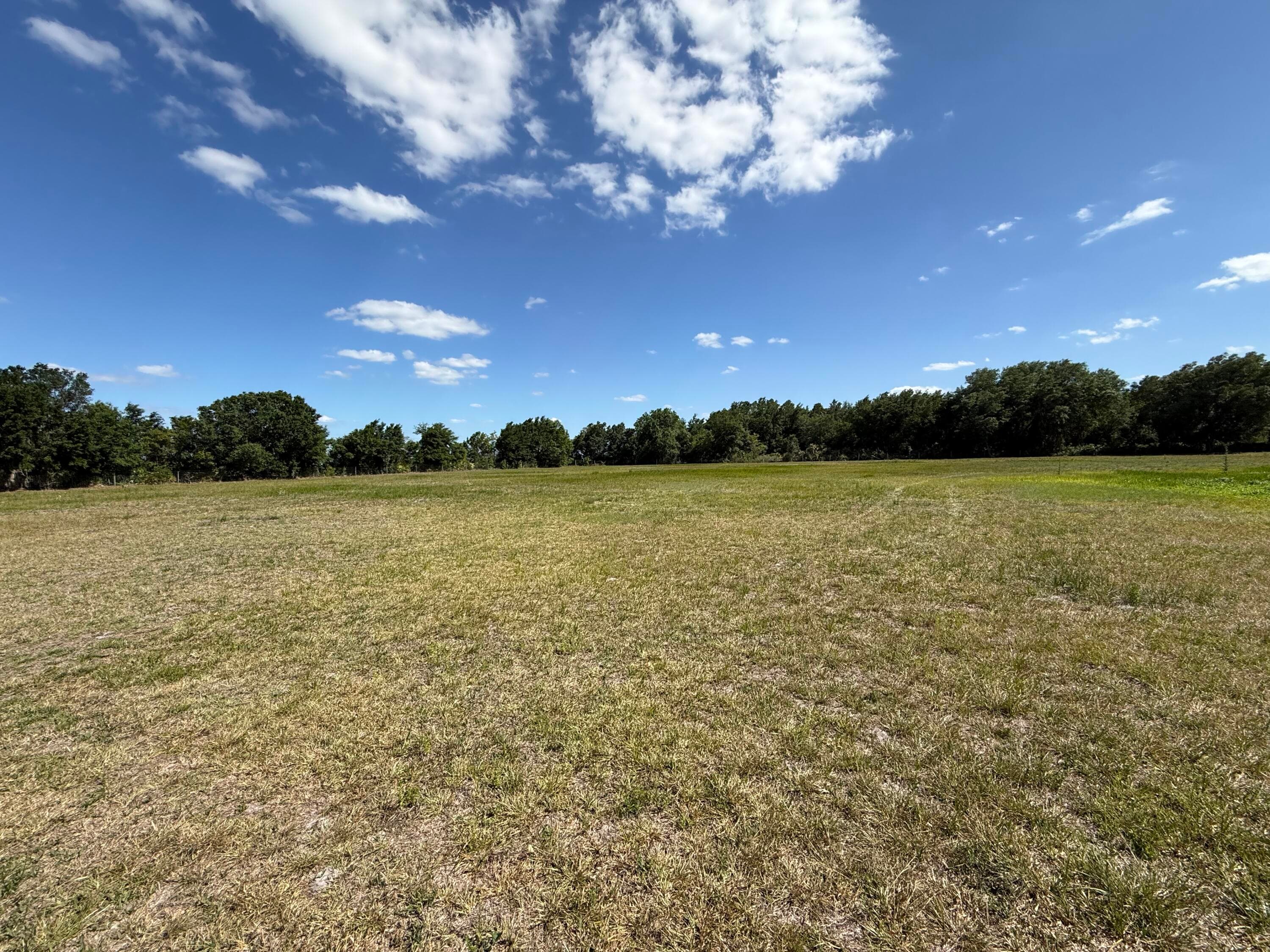 2615 Bluff Hammock Road, Lorida, FL 33857 — photo 9 of 19