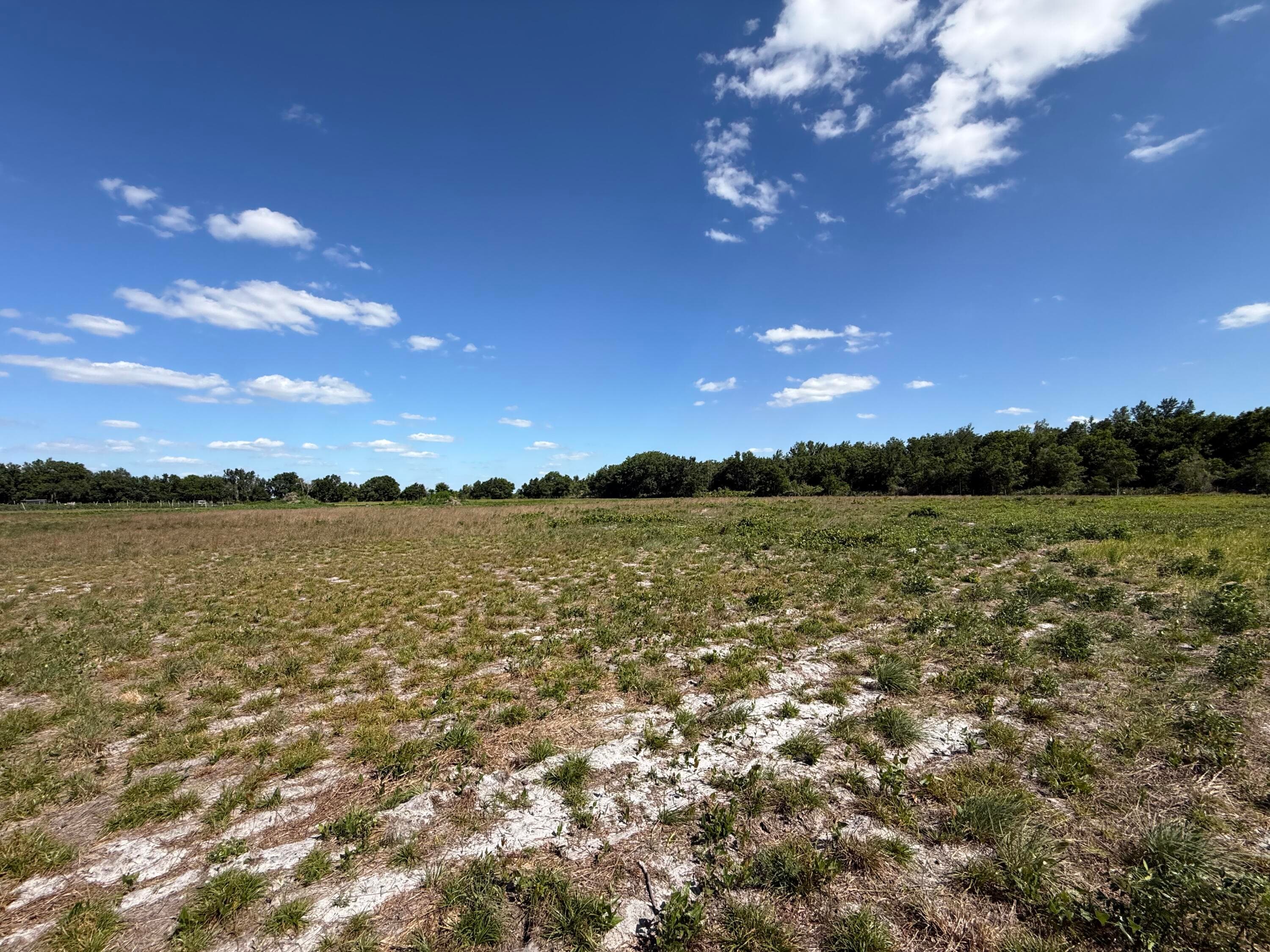 2615 Bluff Hammock Road, Lorida, FL 33857 — photo 14 of 19