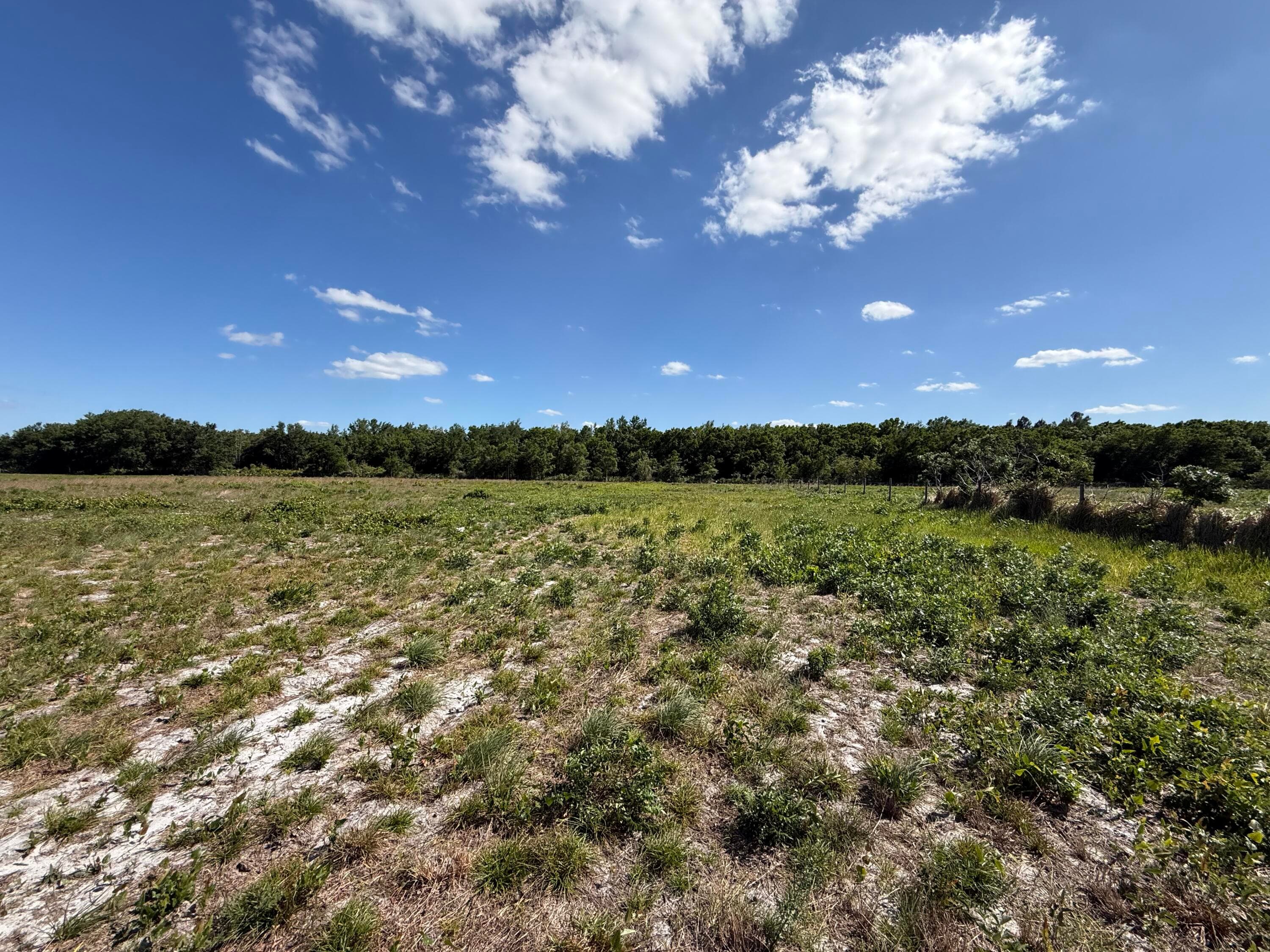 2615 Bluff Hammock Road, Lorida, FL 33857 — photo 16 of 19