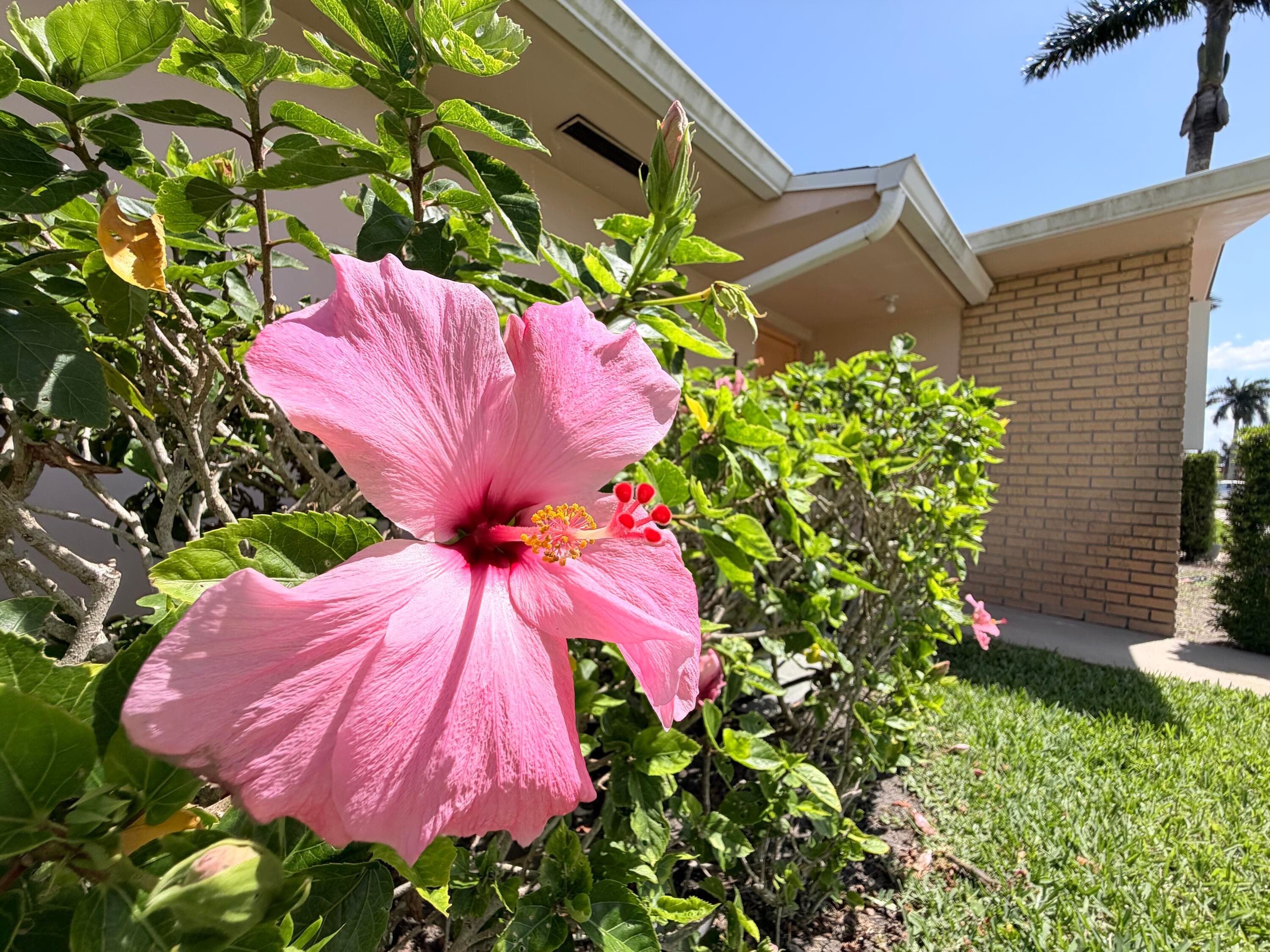 2607 Dudley Drive W L, West Palm Beach, FL 33415 — photo 3 of 34
