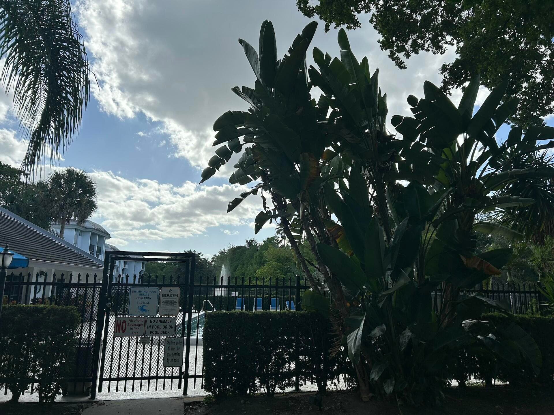 701 N Pine Island Road 304, Plantation, FL 33324 — photo 74 of 77