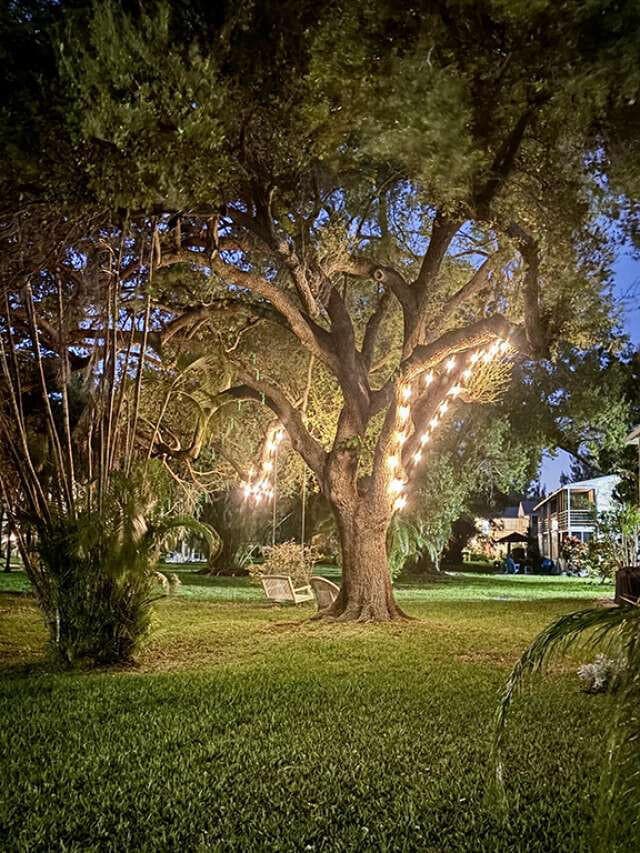 433 Durham O 433, Deerfield Beach, FL 33442 — photo 14 of 20