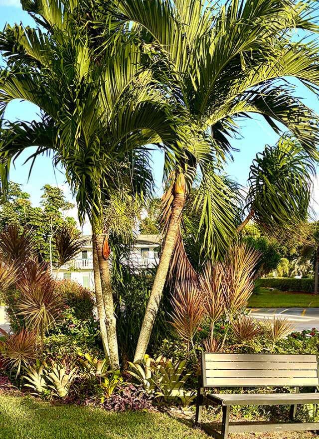 433 Durham O 433, Deerfield Beach, FL 33442 — photo 20 of 20