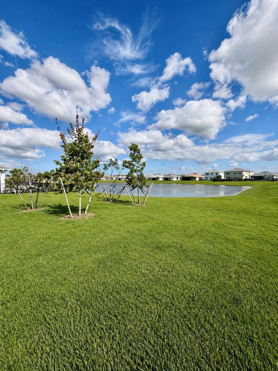 13554 Spruce Pine Drive, Westlake, FL 33470 — photo 7 of 7