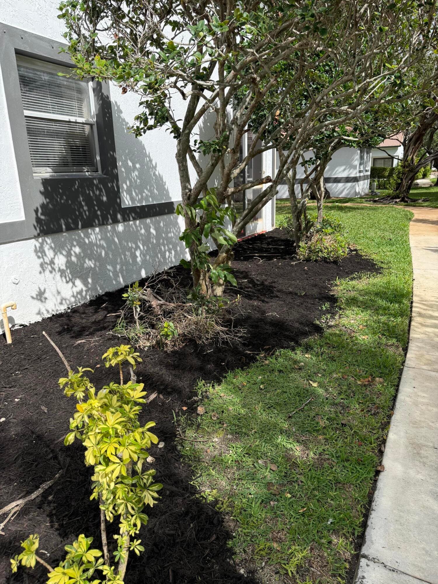 9831 NW 24th Street, Sunrise, FL 33322 — photo 11 of 57