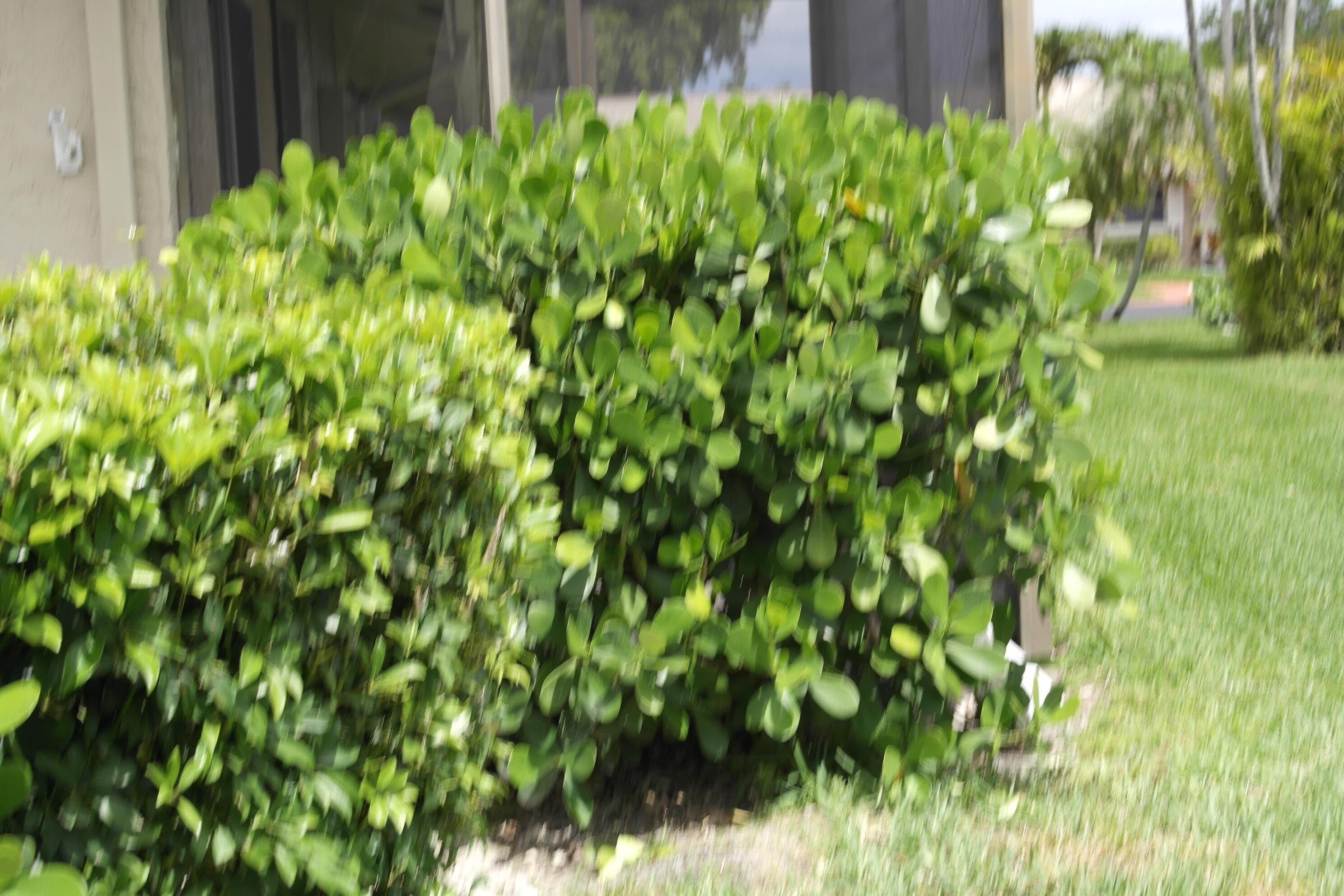 18890 Candlewick Drive B, Boca Raton, FL 33496 — photo 17 of 17