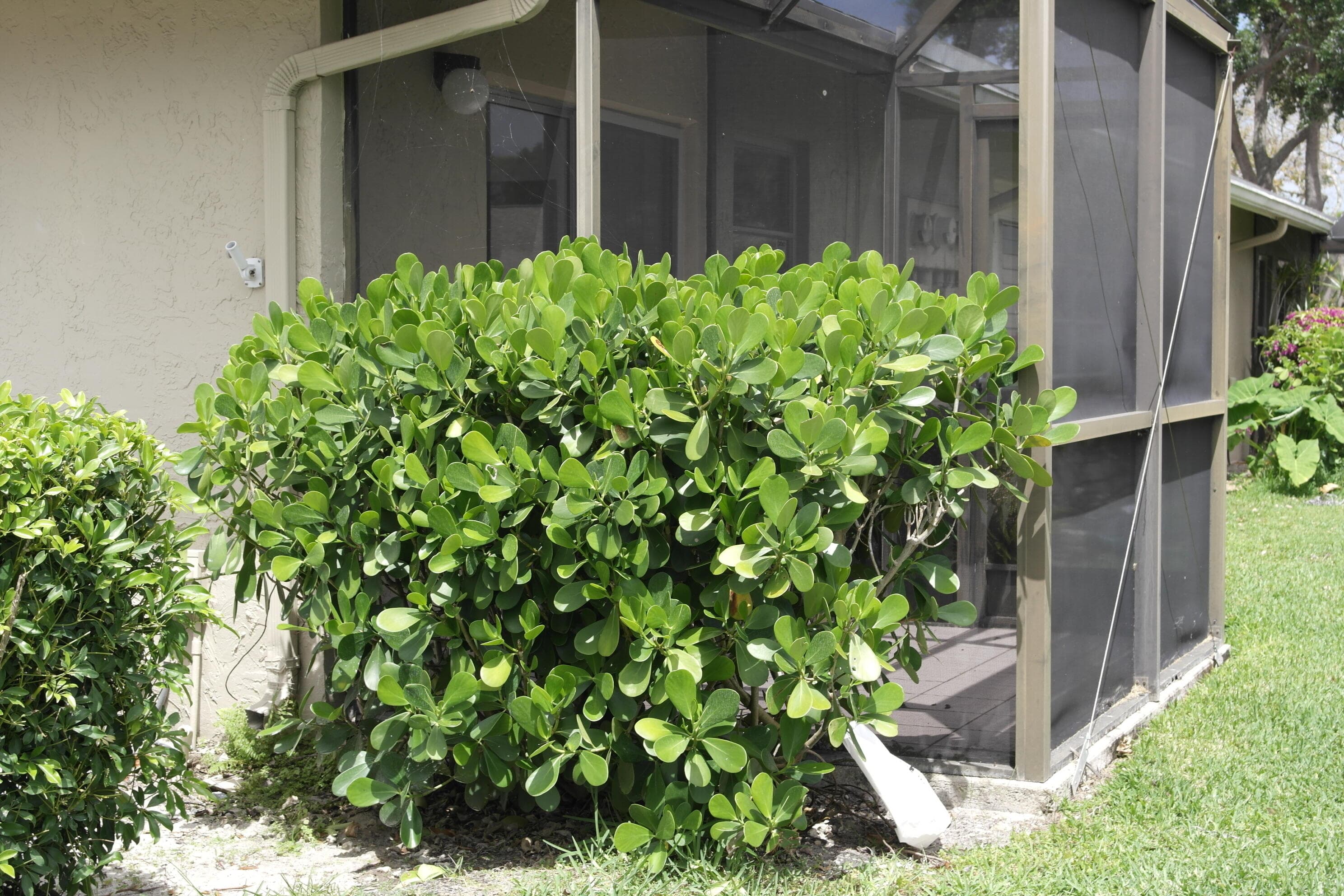 18890 Candlewick Drive B, Boca Raton, FL 33496 — photo 16 of 17