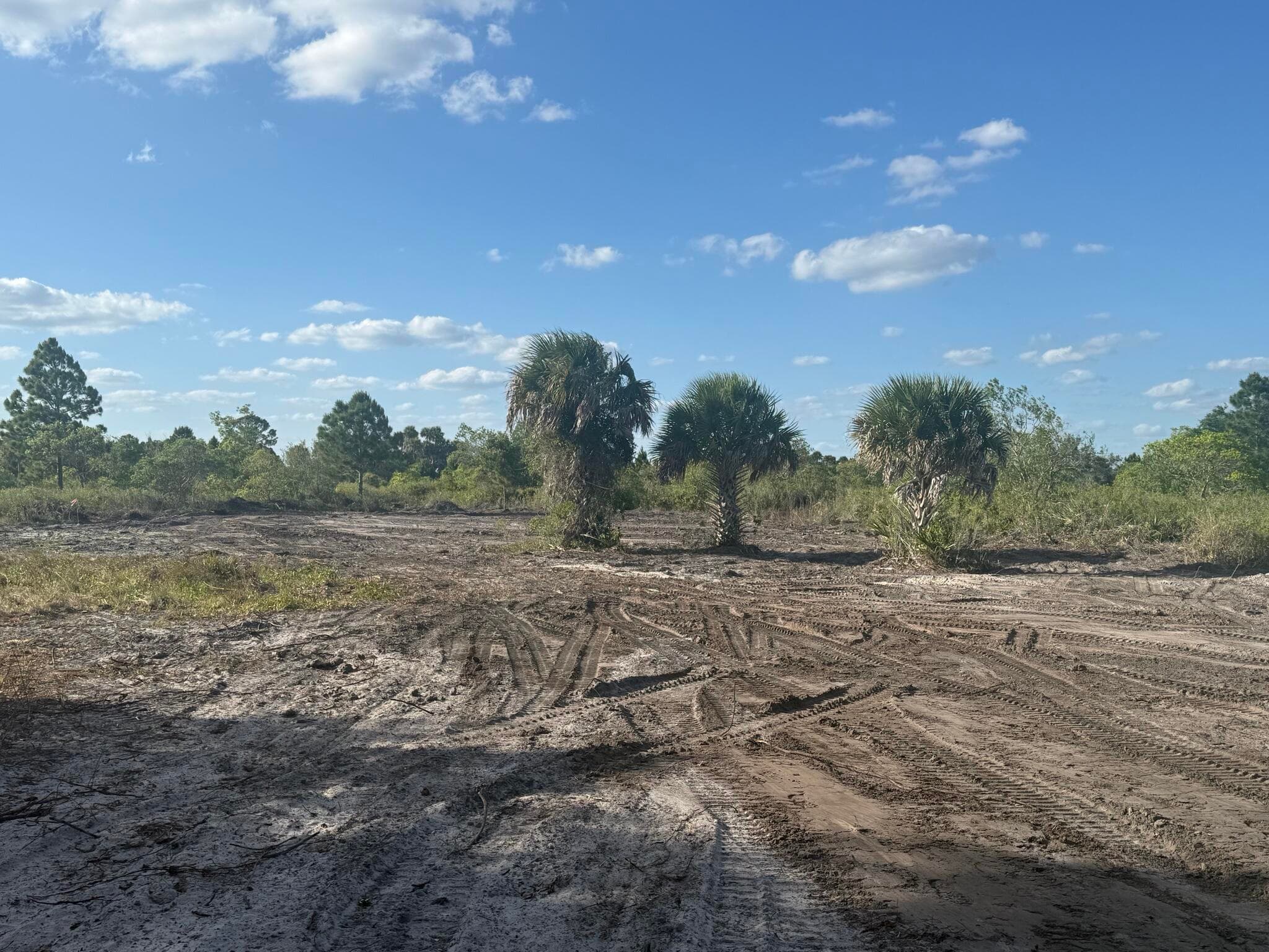 16219 NW 282nd Street, Okeechobee, FL 34972 — photo 4 of 12