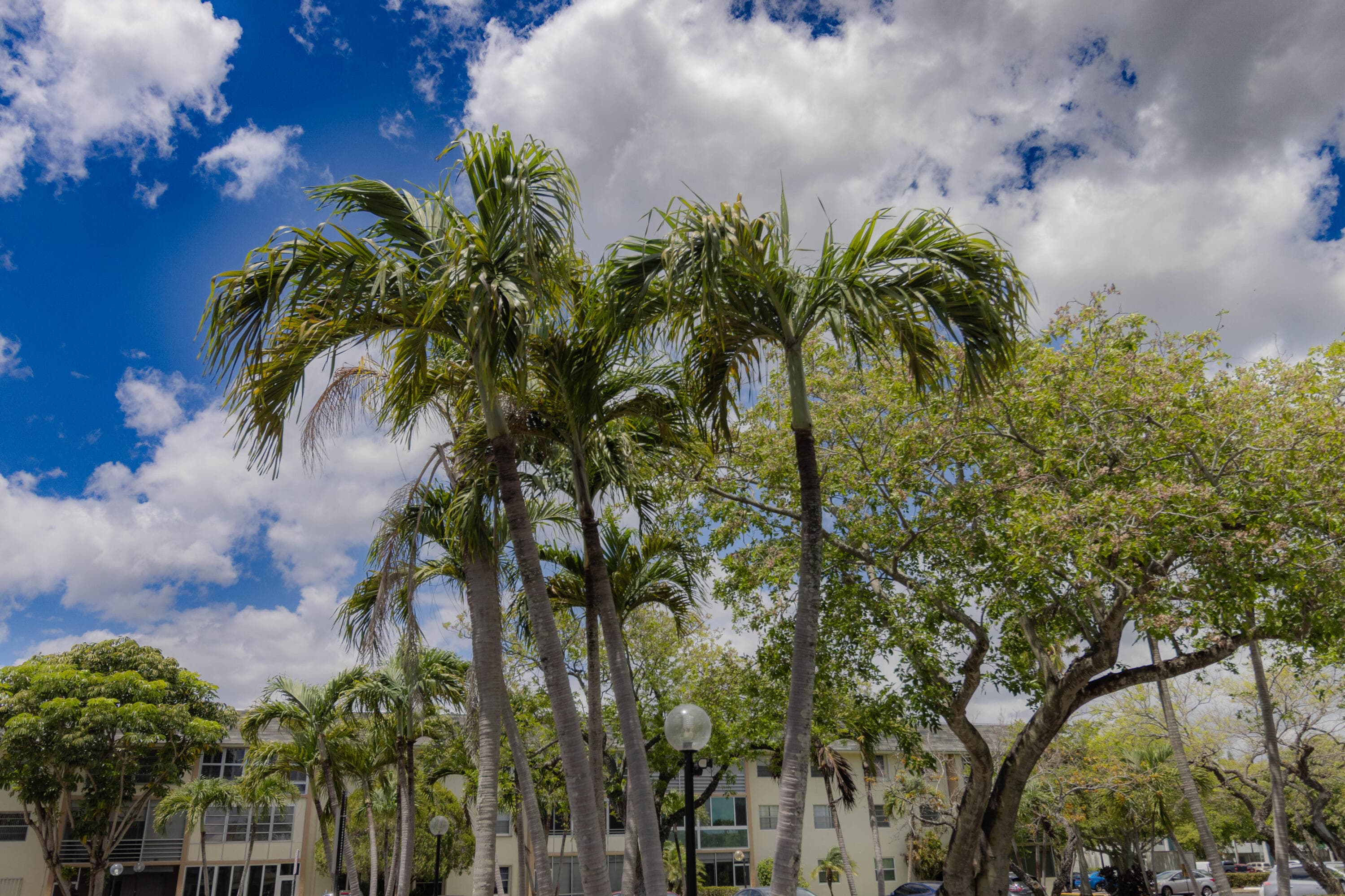 4980 E Sabal Palm Boulevard E 124, Tamarac, FL 33319 — photo 17 of 21