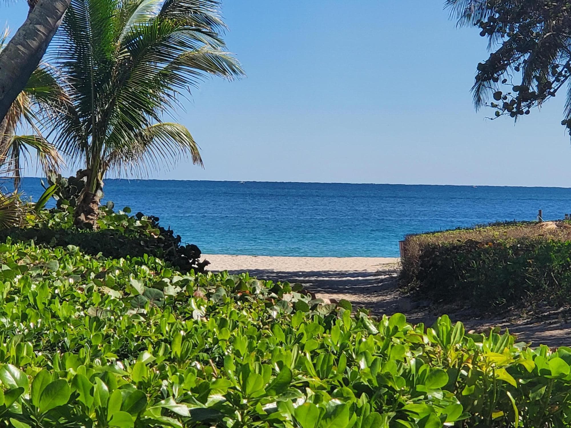 3020 NE 32nd Avenue Ph1, Fort Lauderdale, FL 33308 — photo 45 of 48