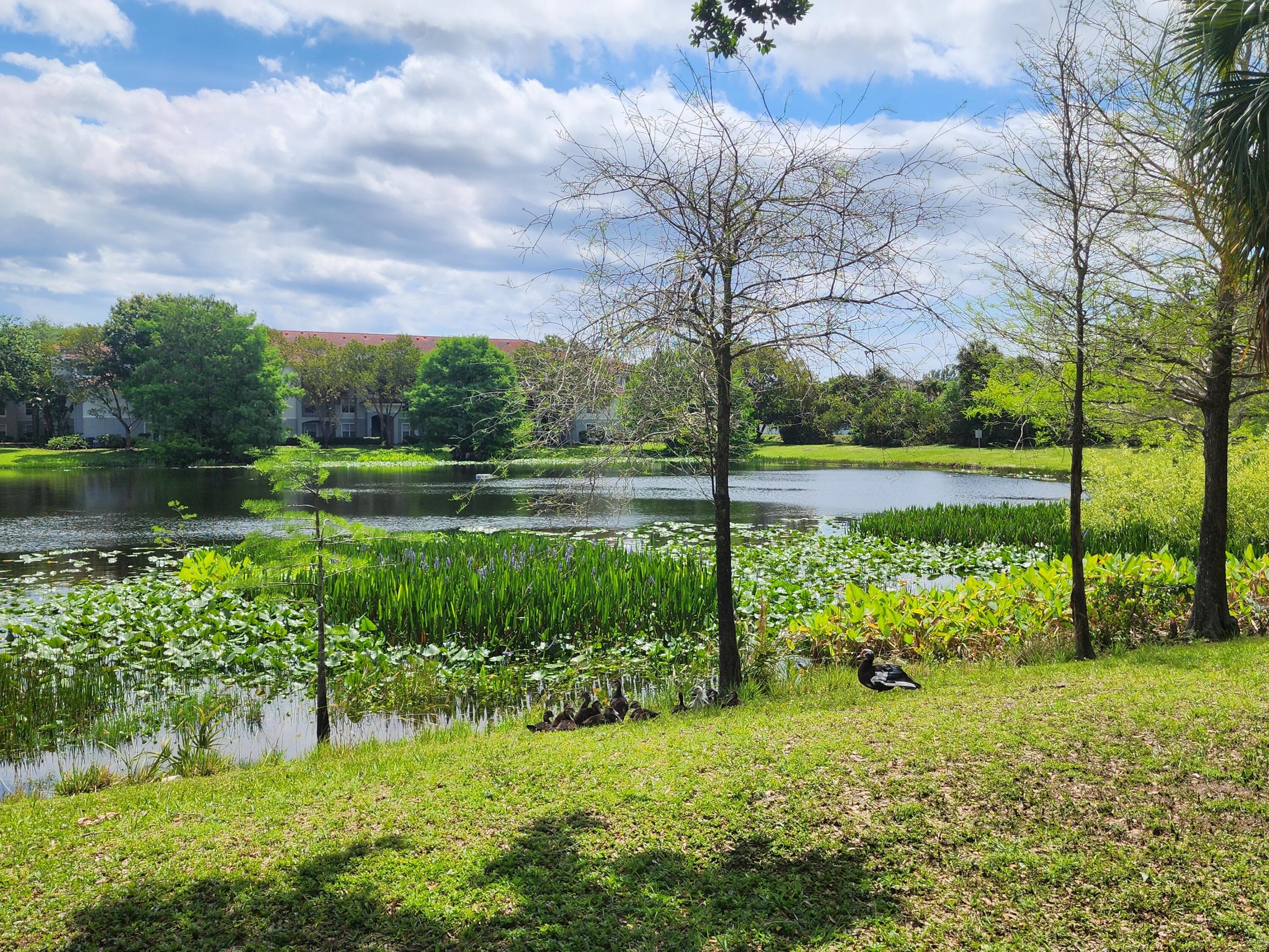 5816 Monterra Club Drive, Lake Worth, FL 33463 — photo 32 of 33