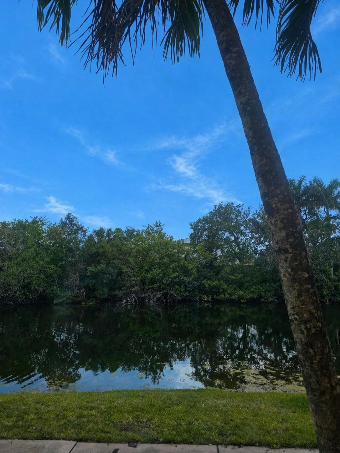 3680 N 56th Avenue 812, Hollywood, FL 33021 — photo 14 of 15