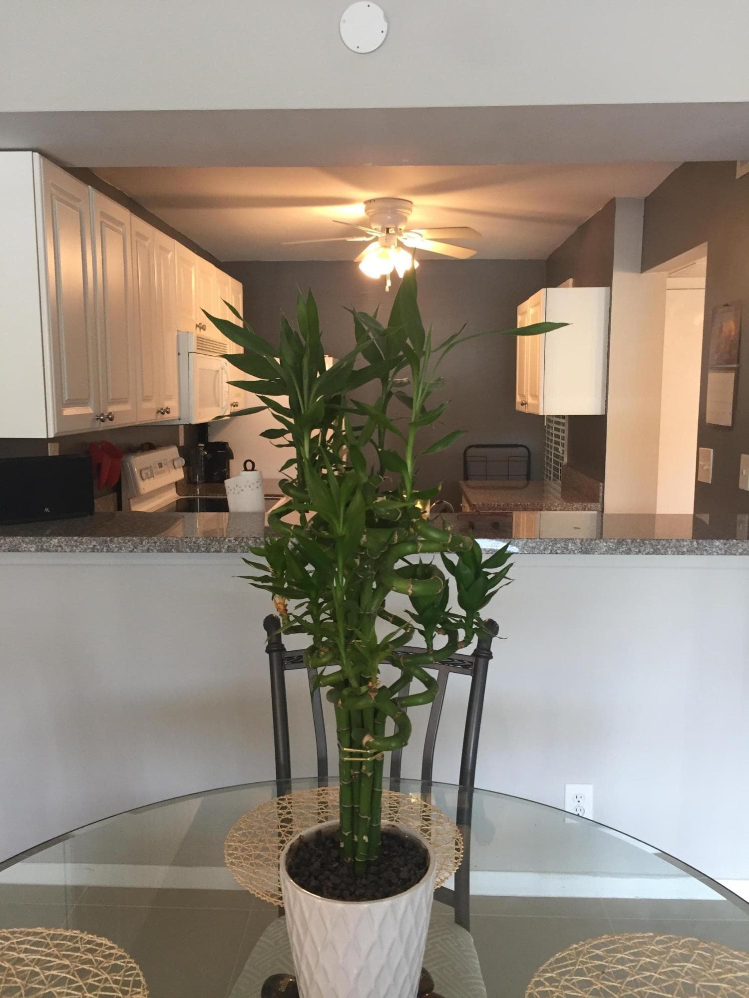 10 Royal Palm Way 2030, Boca Raton, FL 33432 — photo 4 of 26