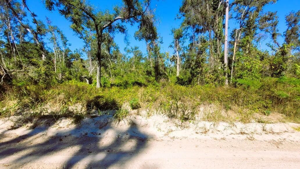 Lot 56 NW 29th Loop, Jennings, FL 32053 — photo 17 of 20