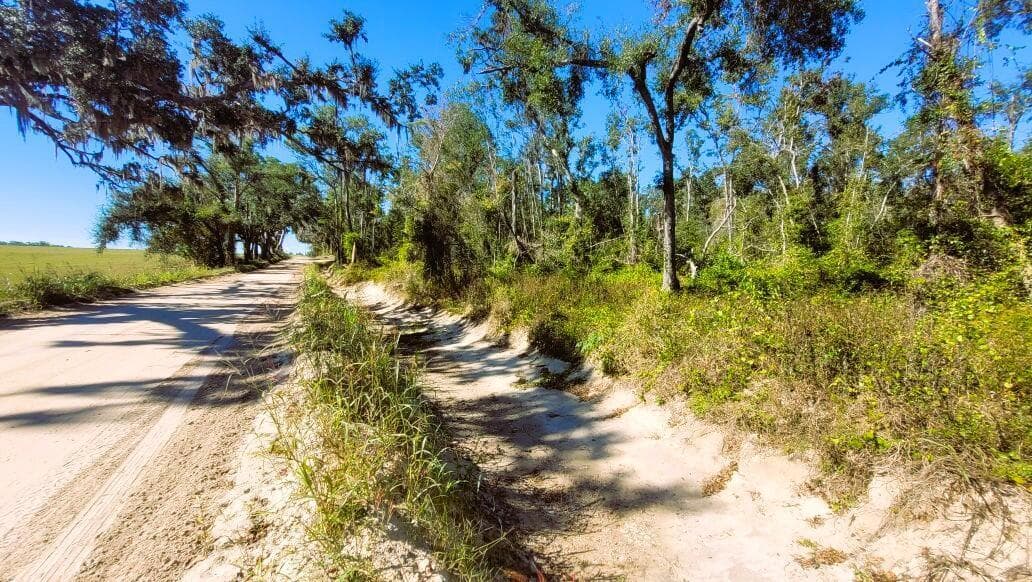 Lot 56 NW 29th Loop, Jennings, FL 32053 — photo 18 of 20