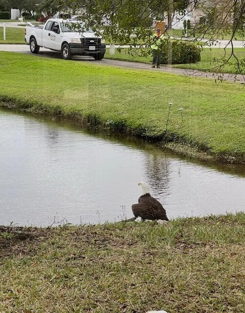 6535 35th Place, Vero Beach, FL 32966 — photo 38 of 38
