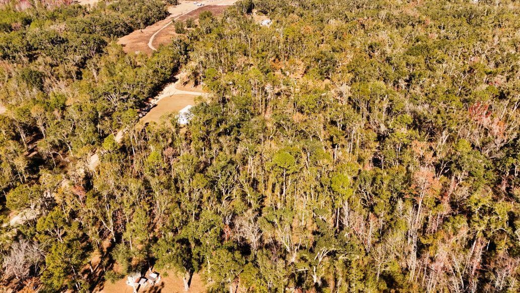 Lot 26 NW White Oak Way, Jennings, FL 32053 — photo 10 of 20