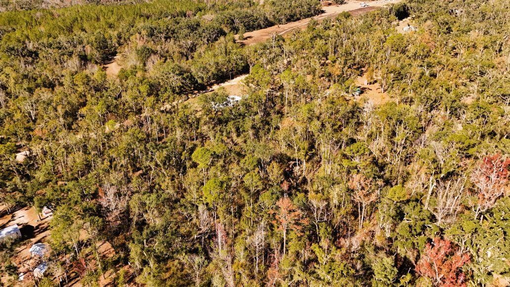 Lot 26 NW White Oak Way, Jennings, FL 32053 — photo 11 of 20