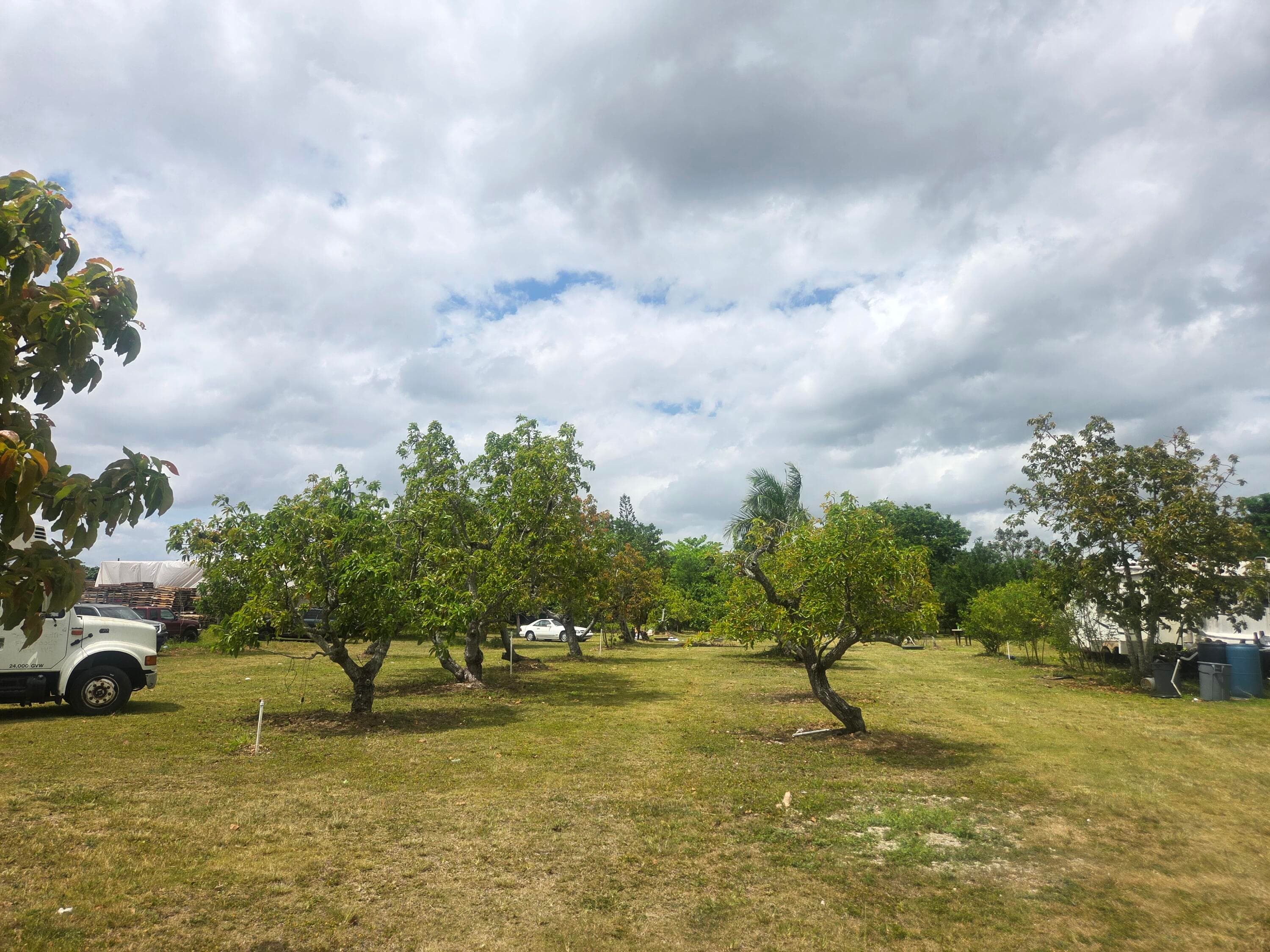 Xxx SW 264th Street, Homestead, FL 33031 — photo 21 of 32