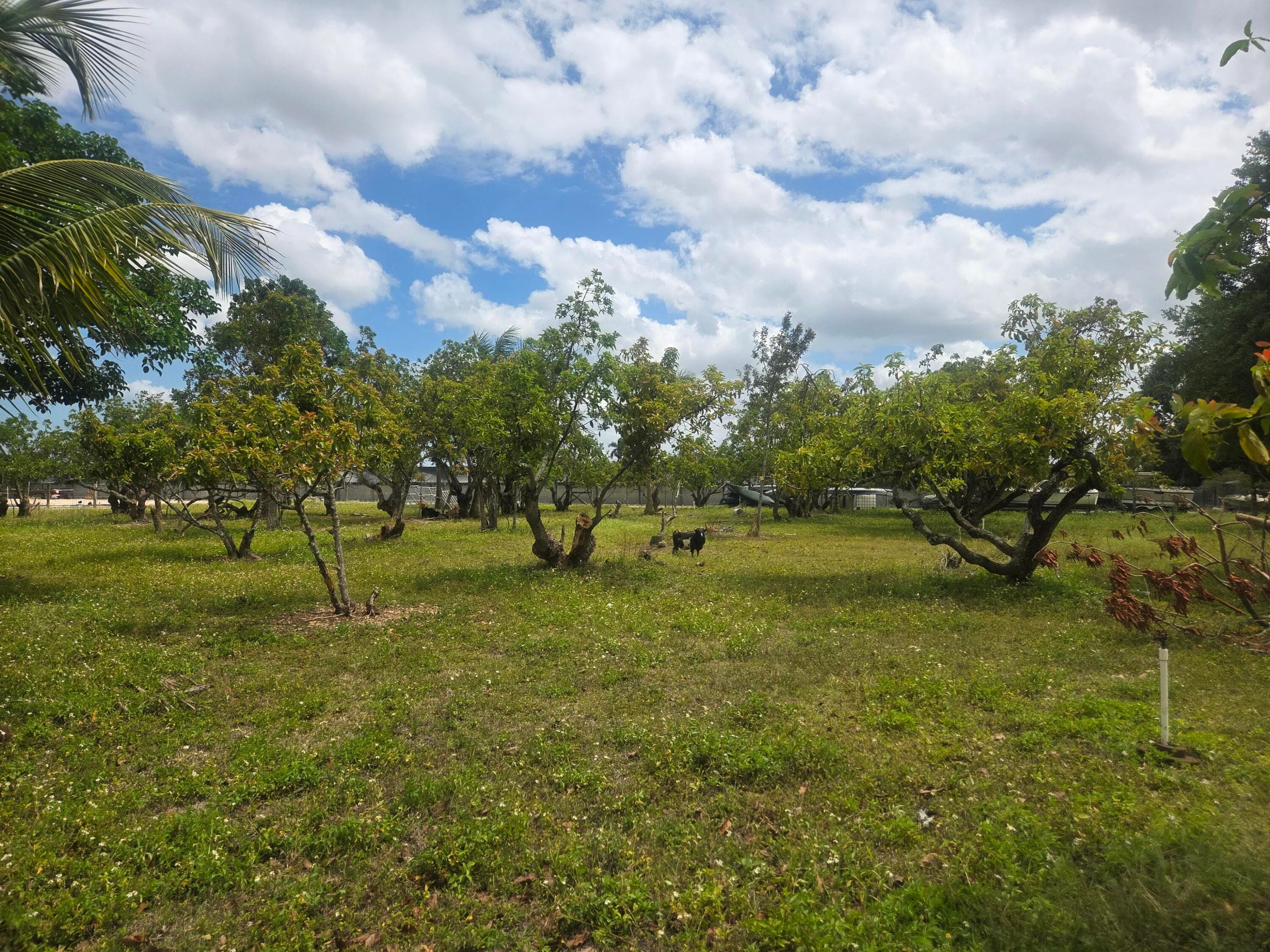 Xxx SW 264th Street, Homestead, FL 33031 — photo 23 of 32