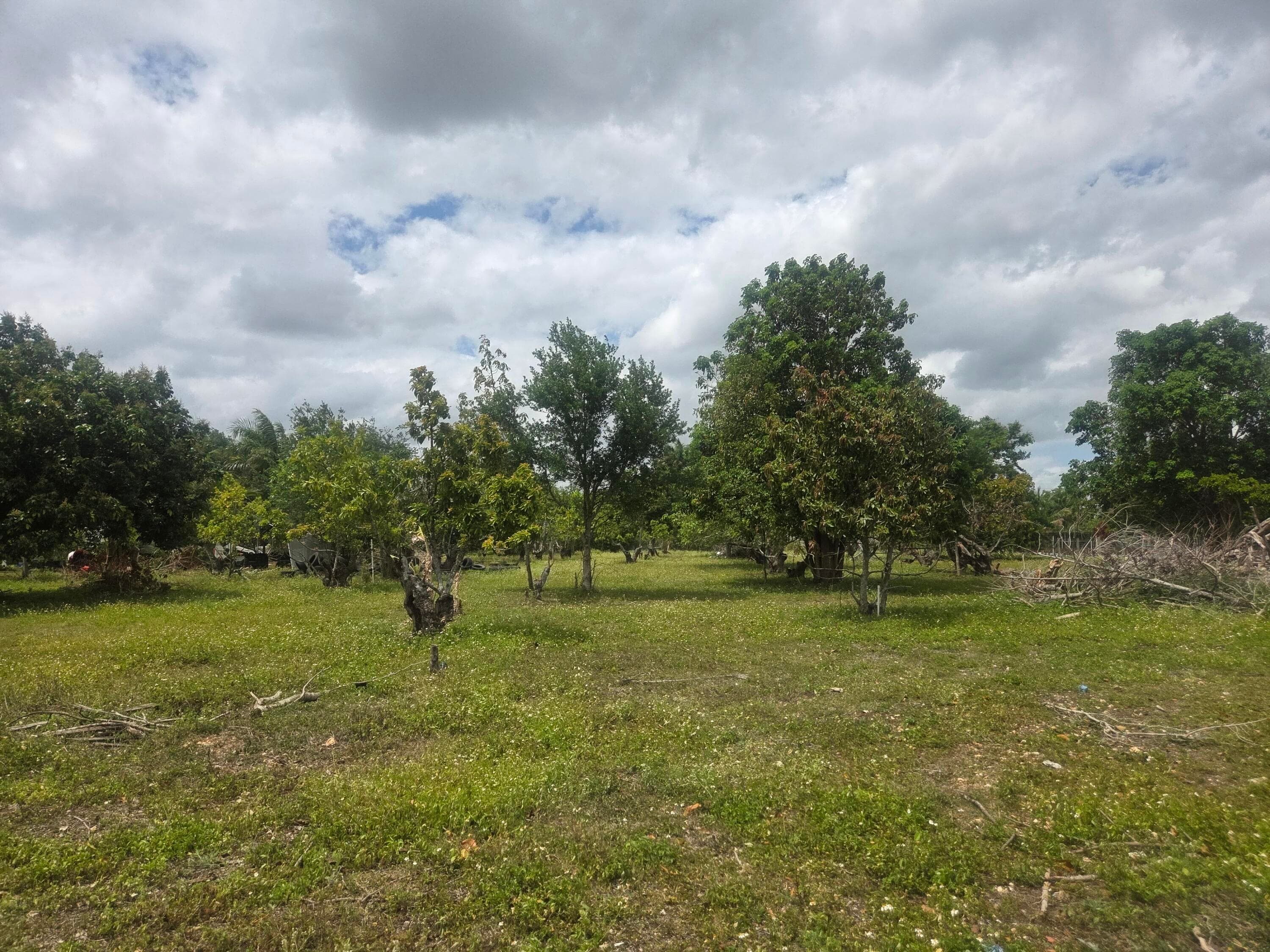 Xxx SW 264th Street, Homestead, FL 33031 — photo 24 of 32