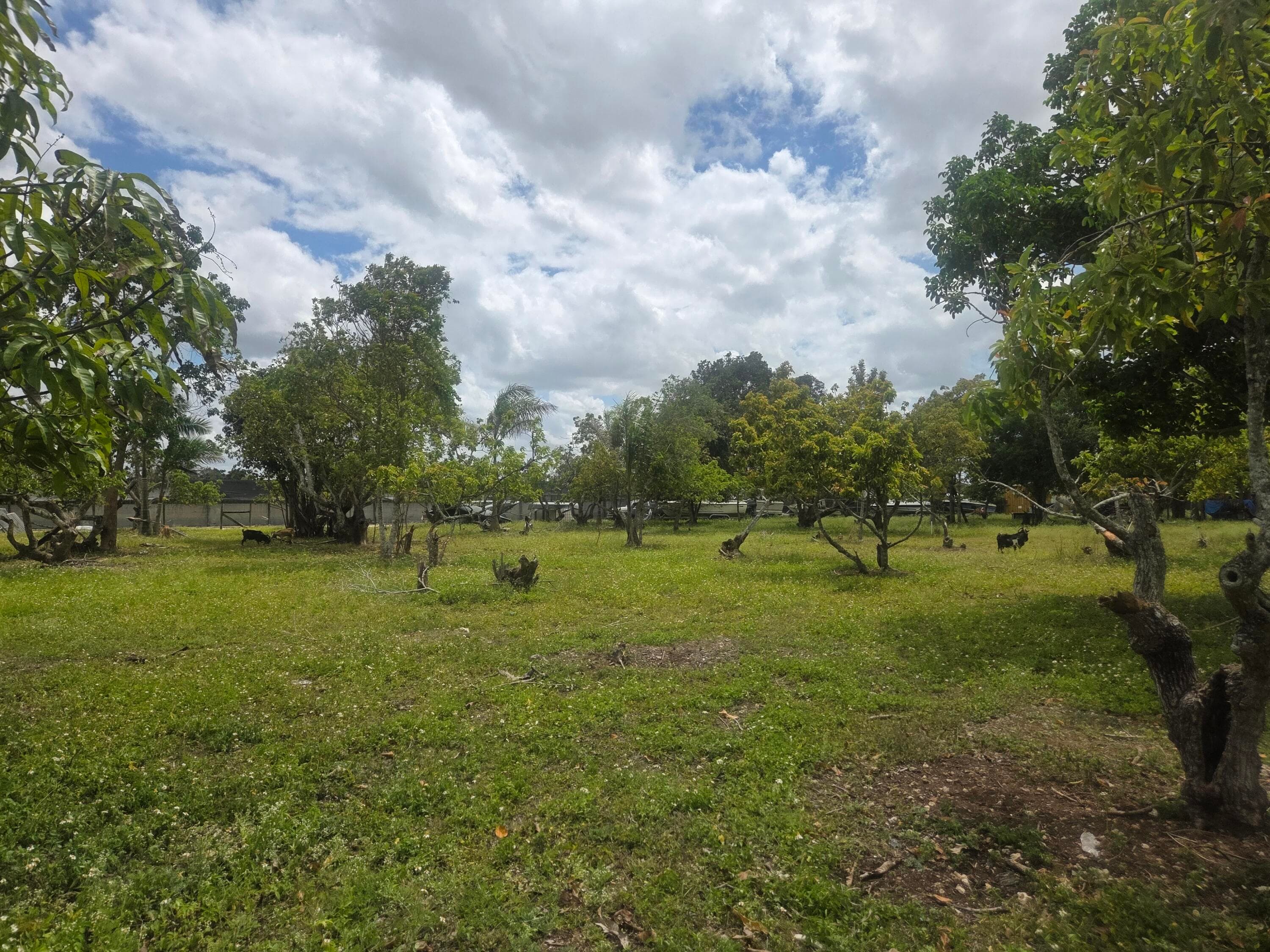 Xxx SW 264th Street, Homestead, FL 33031 — photo 25 of 32