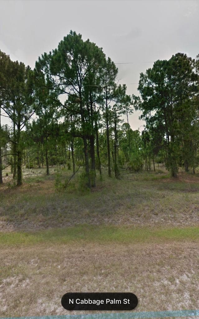 470 N Cabbage Palm Street, Clewiston, FL 33440 — photo 3 of 9